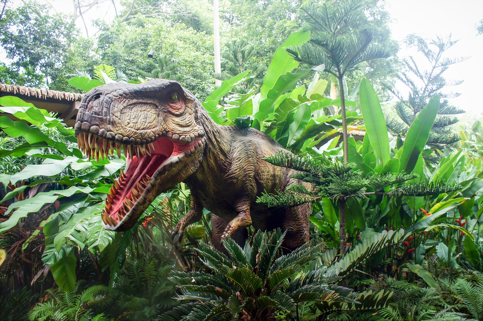COMBO: Night Safari + Singapore Zoo