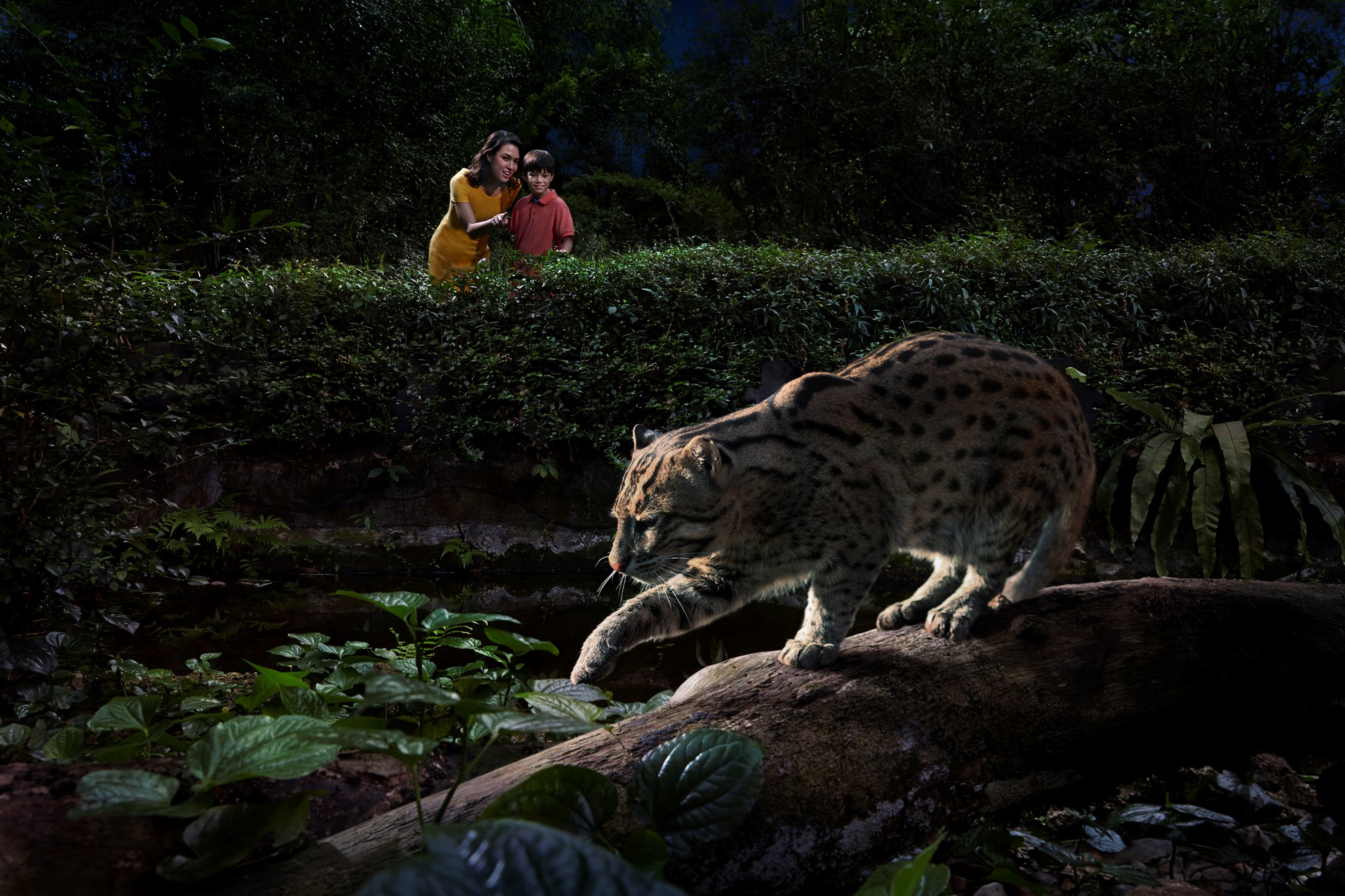 COMBO: Rainforest Lumina + Singapore Night Safari