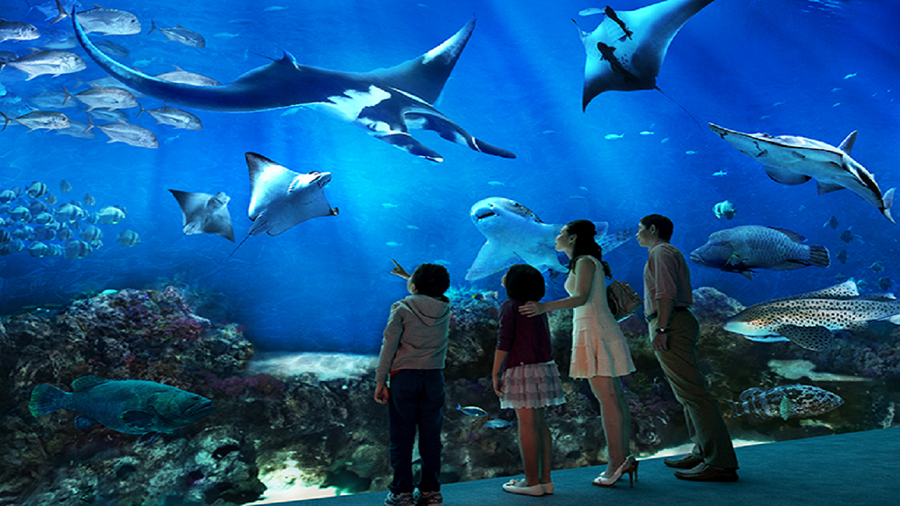 COMBO: S.E.A. Aquarium™ + Sentosa 4D Adventureland 