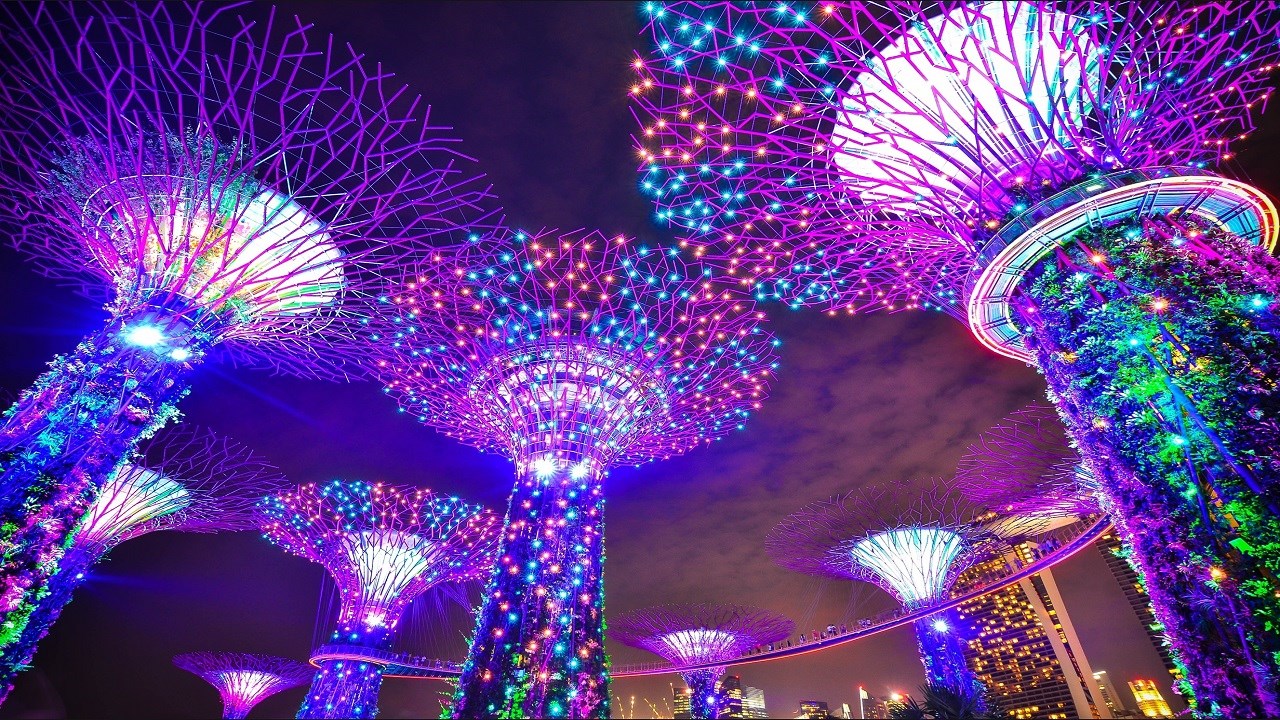 COMBO: Singapore Hop-on & Hop-off Bus by Big Bus+ Gardens by the Bay