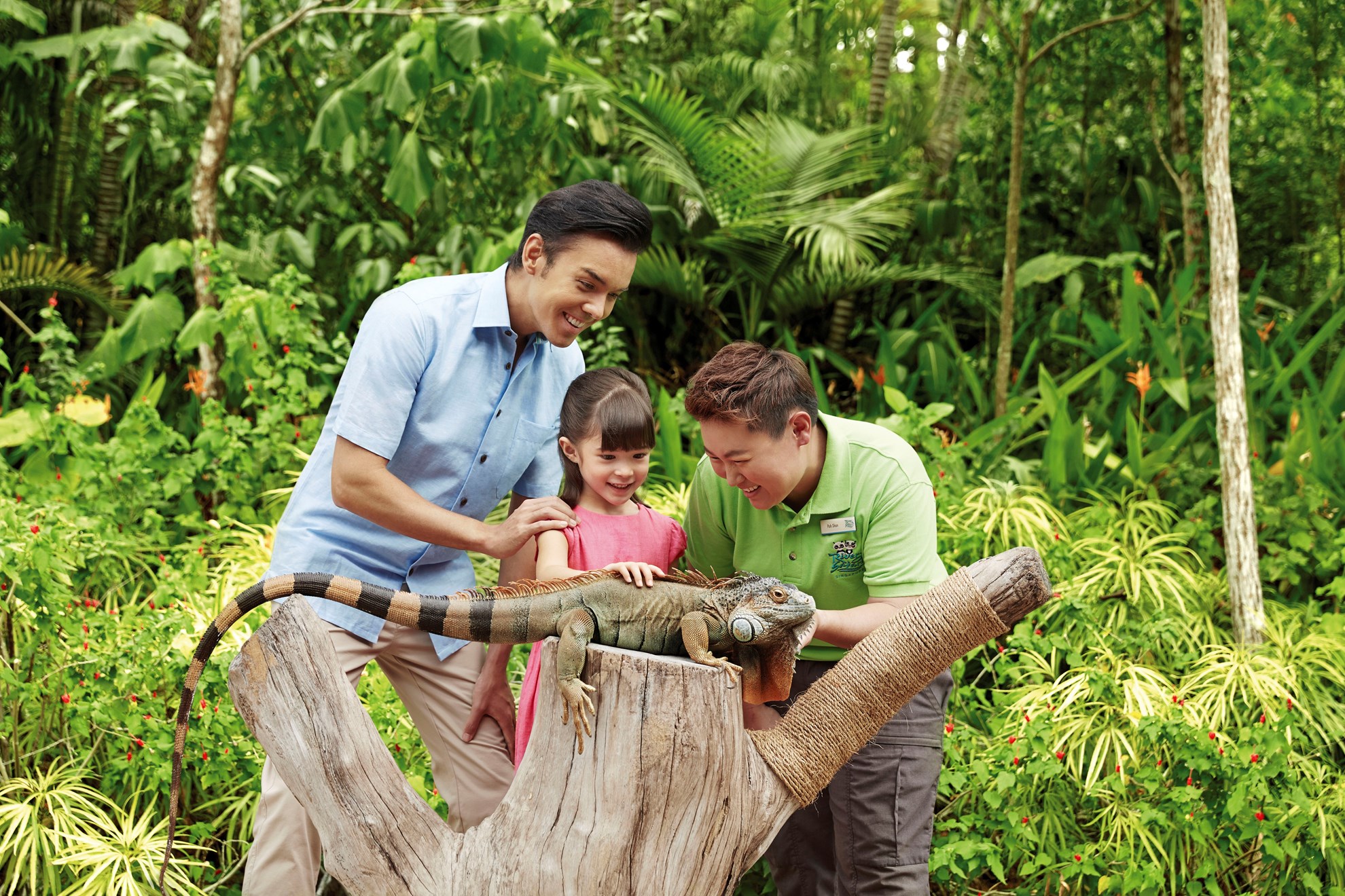COMBO: Singapore Night Safari + River Safari