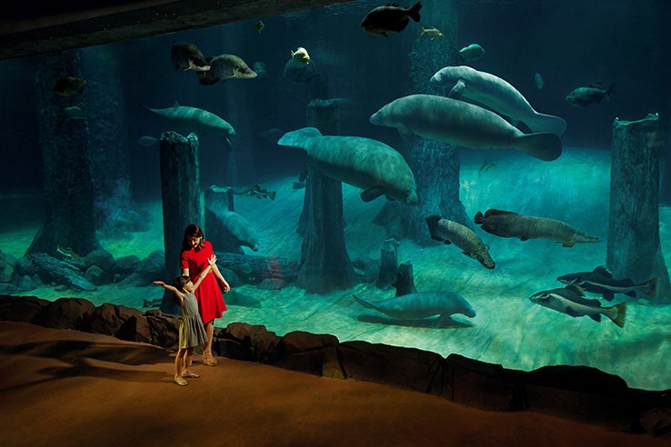 COMBO: Singapore Night Safari + River Safari