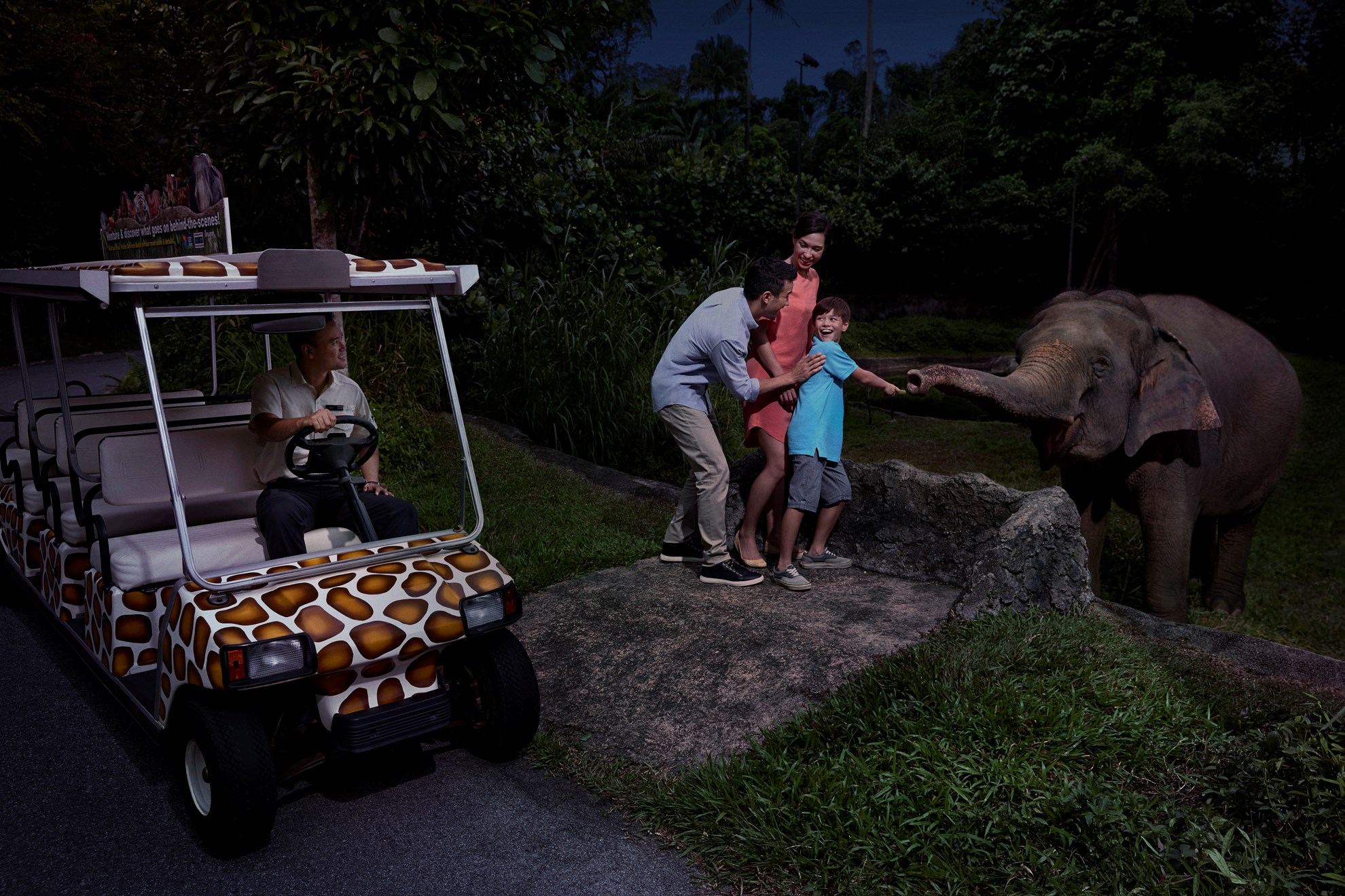 COMBO: Singapore Night Safari + River Safari