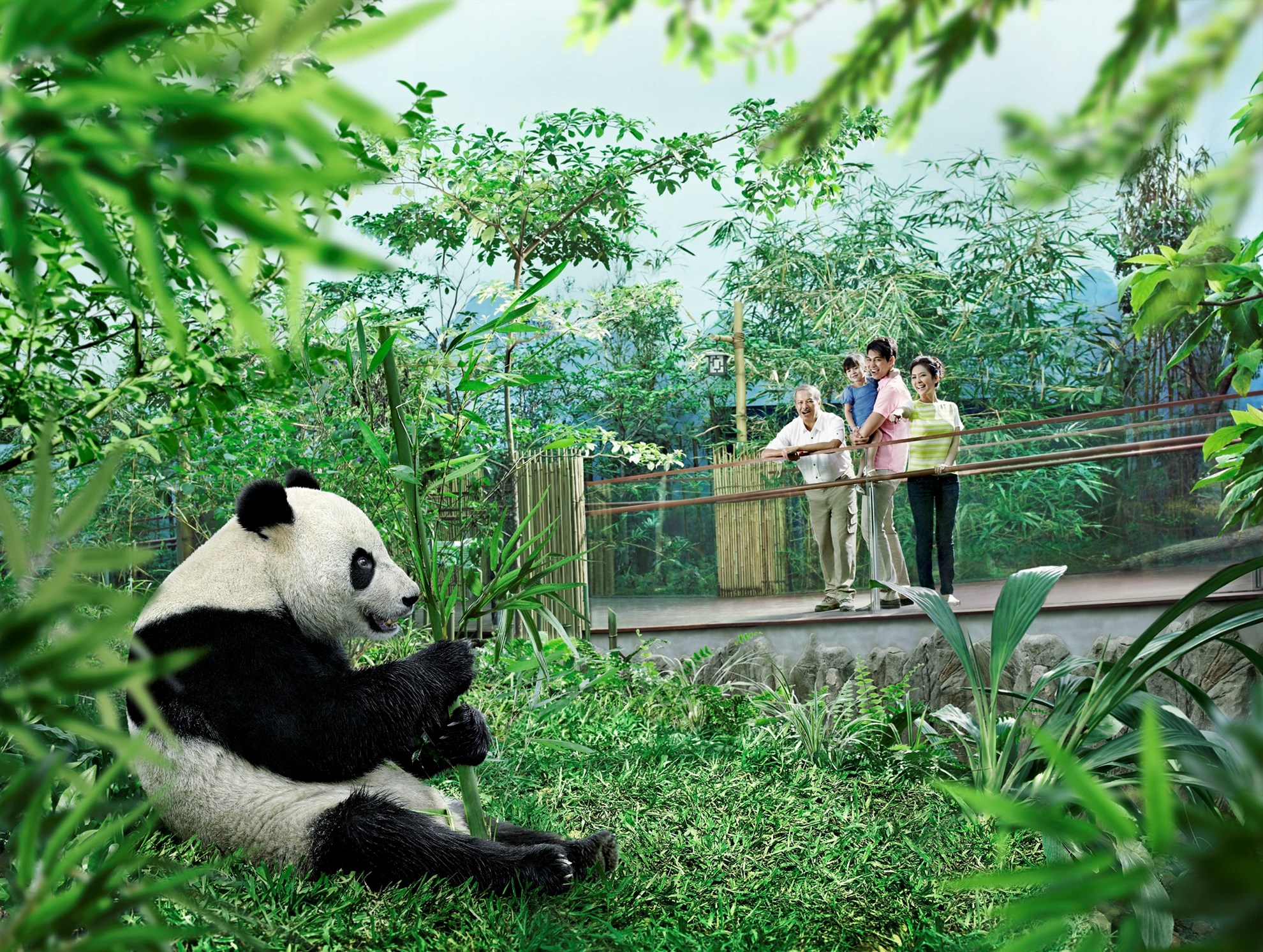 COMBO: Singapore Night Safari + River Safari