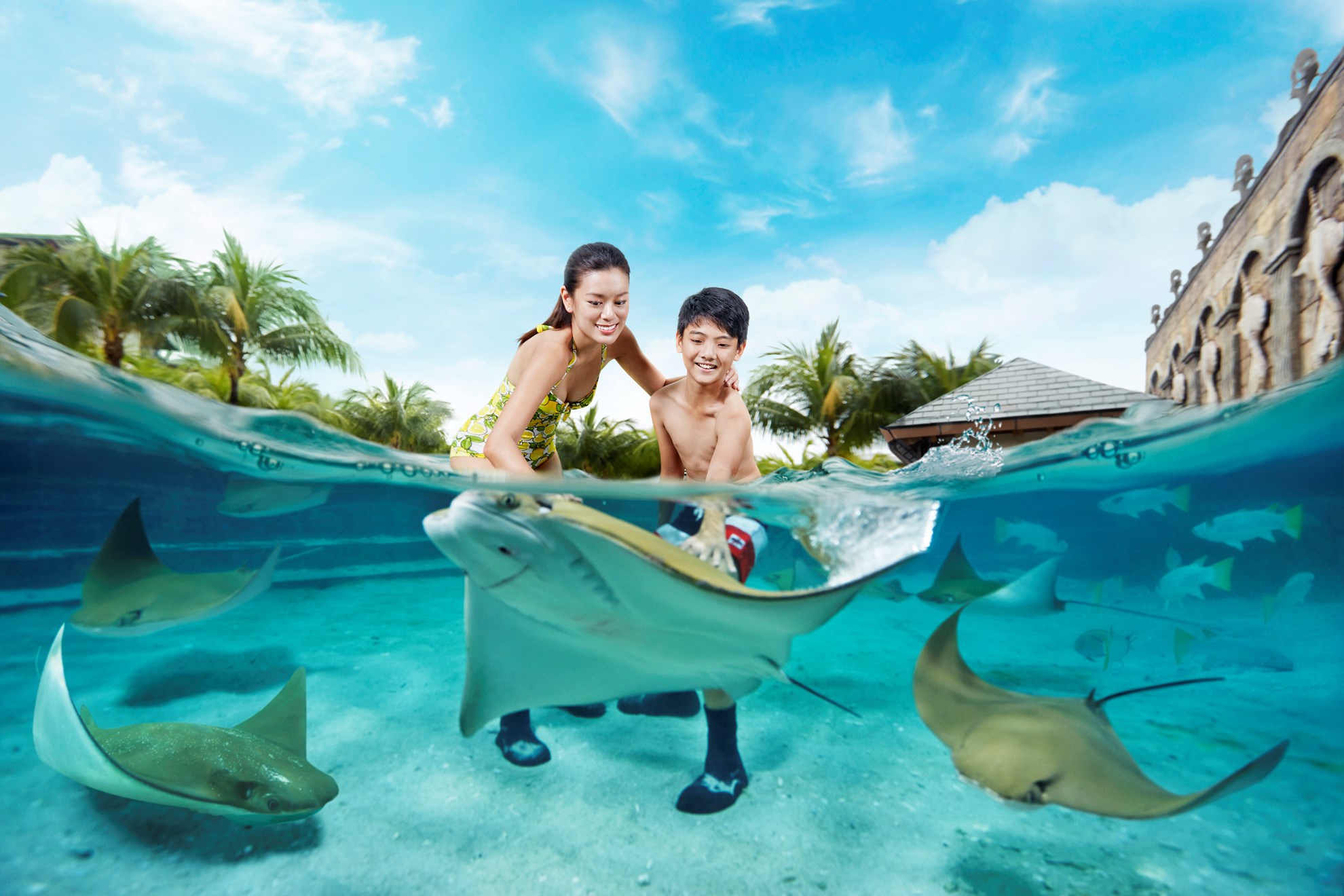 Combo: Vé  công viên nước Adventure Cove Waterpark™ + S.E.A. Aquarium™ - Vé vào cửa + Vé Skyline Luge Sentosa