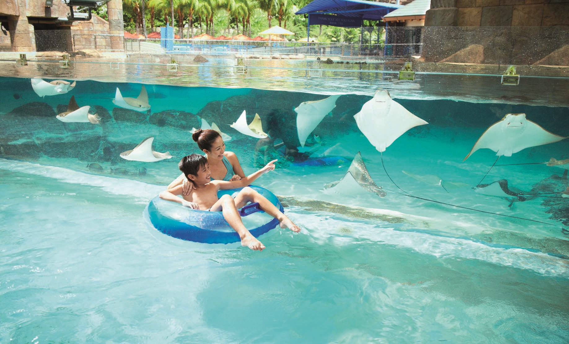Combo: Vé  công viên nước Adventure Cove Waterpark™ + S.E.A. Aquarium™ - Vé vào cửa + Vé Skyline Luge Sentosa
