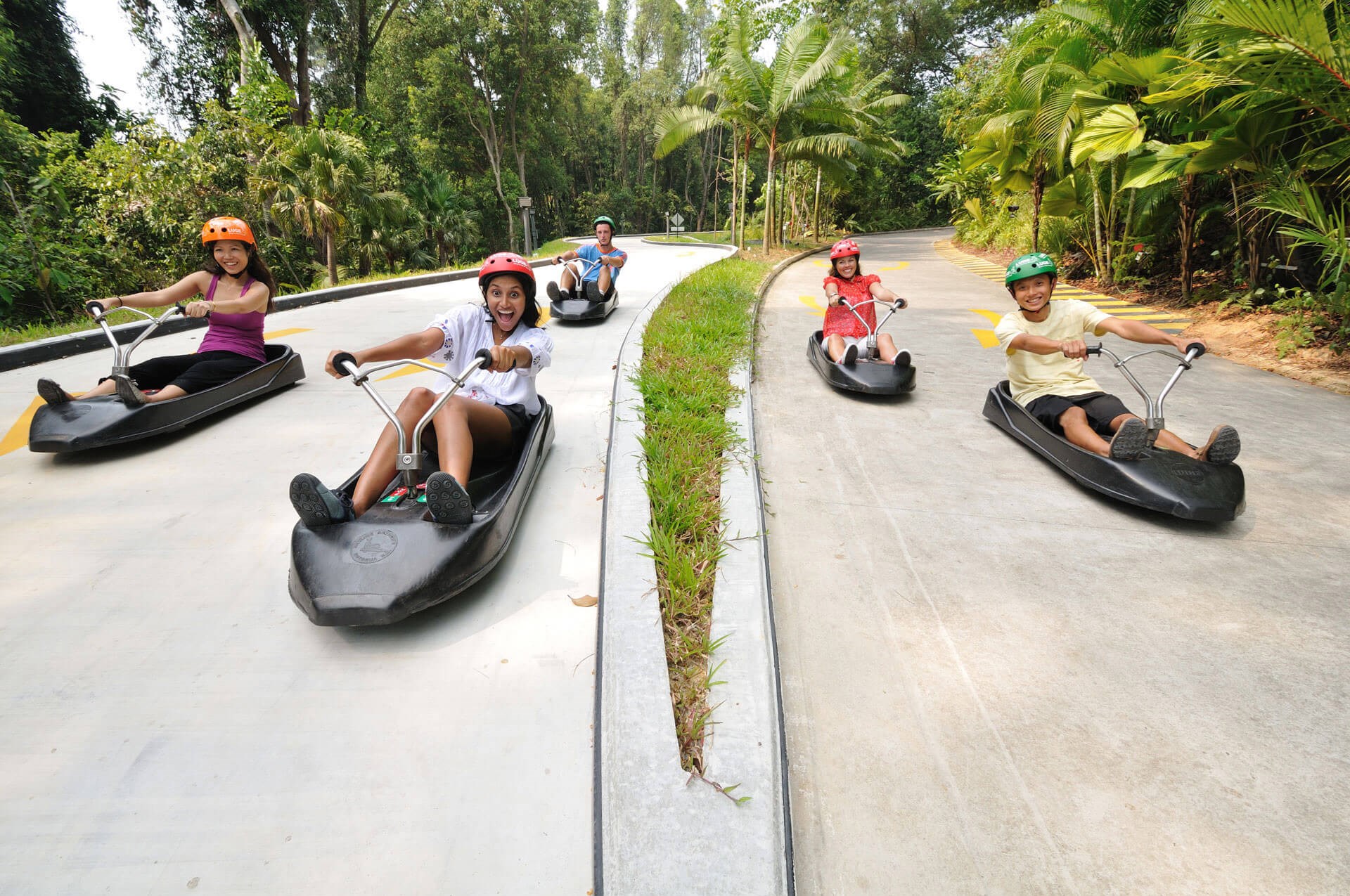 Combo: Vé  công viên nước Adventure Cove Waterpark™ + S.E.A. Aquarium™ - Vé vào cửa + Vé Skyline Luge Sentosa
