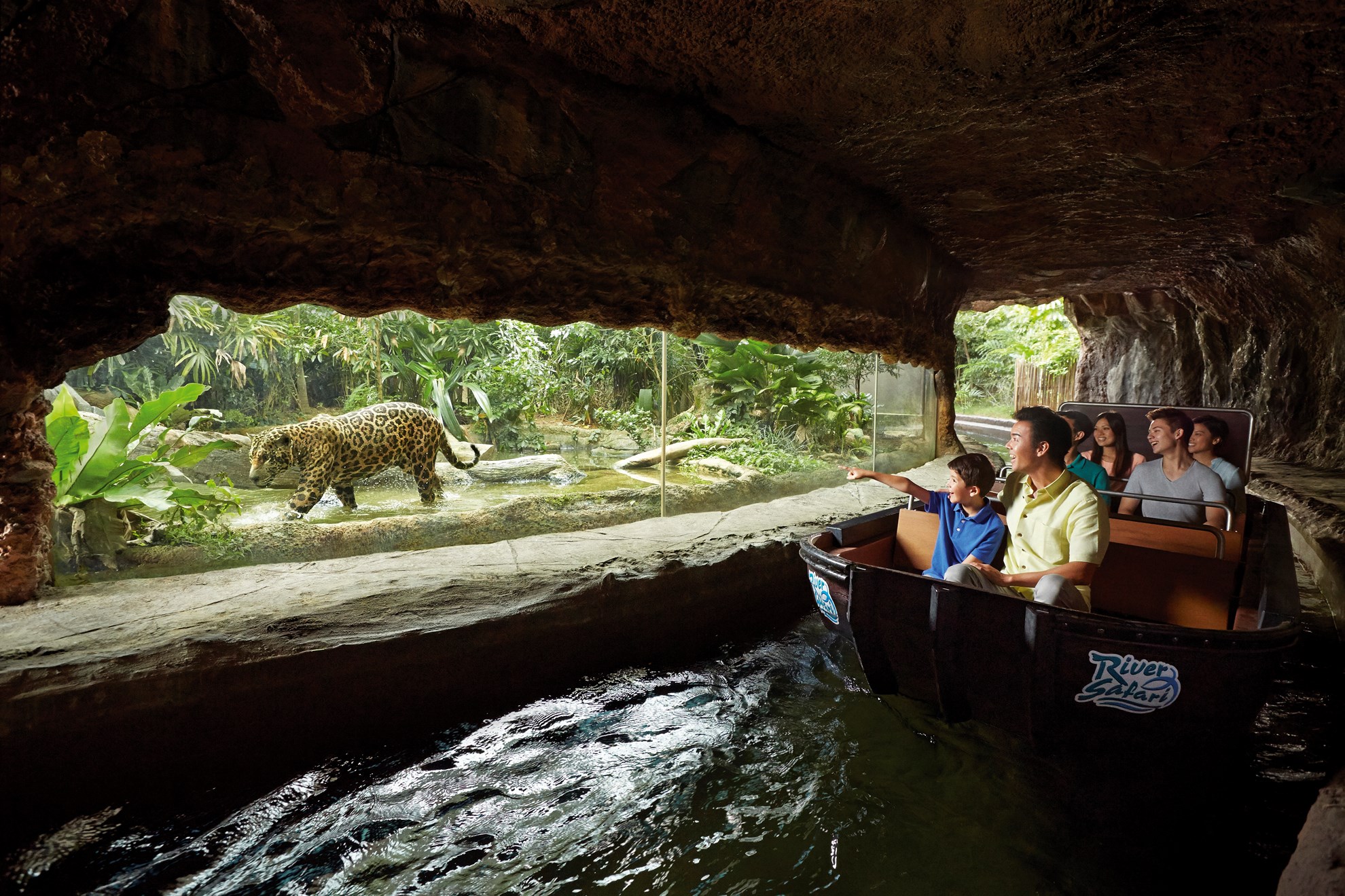 COMBO: Vé  tham quan Singapore River Safari + Rainforest Lumina tại Vườn thú Singapore