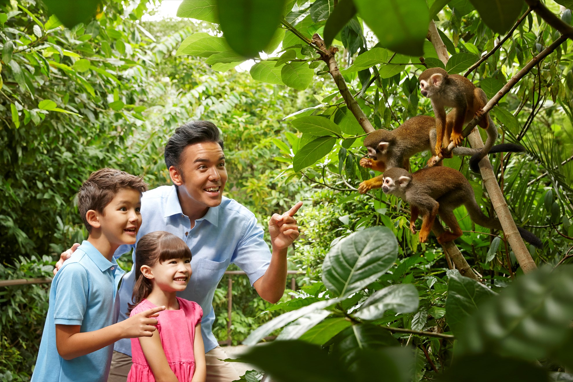 COMBO: Vé  tham quan Singapore River Safari + Rainforest Lumina tại Vườn thú Singapore