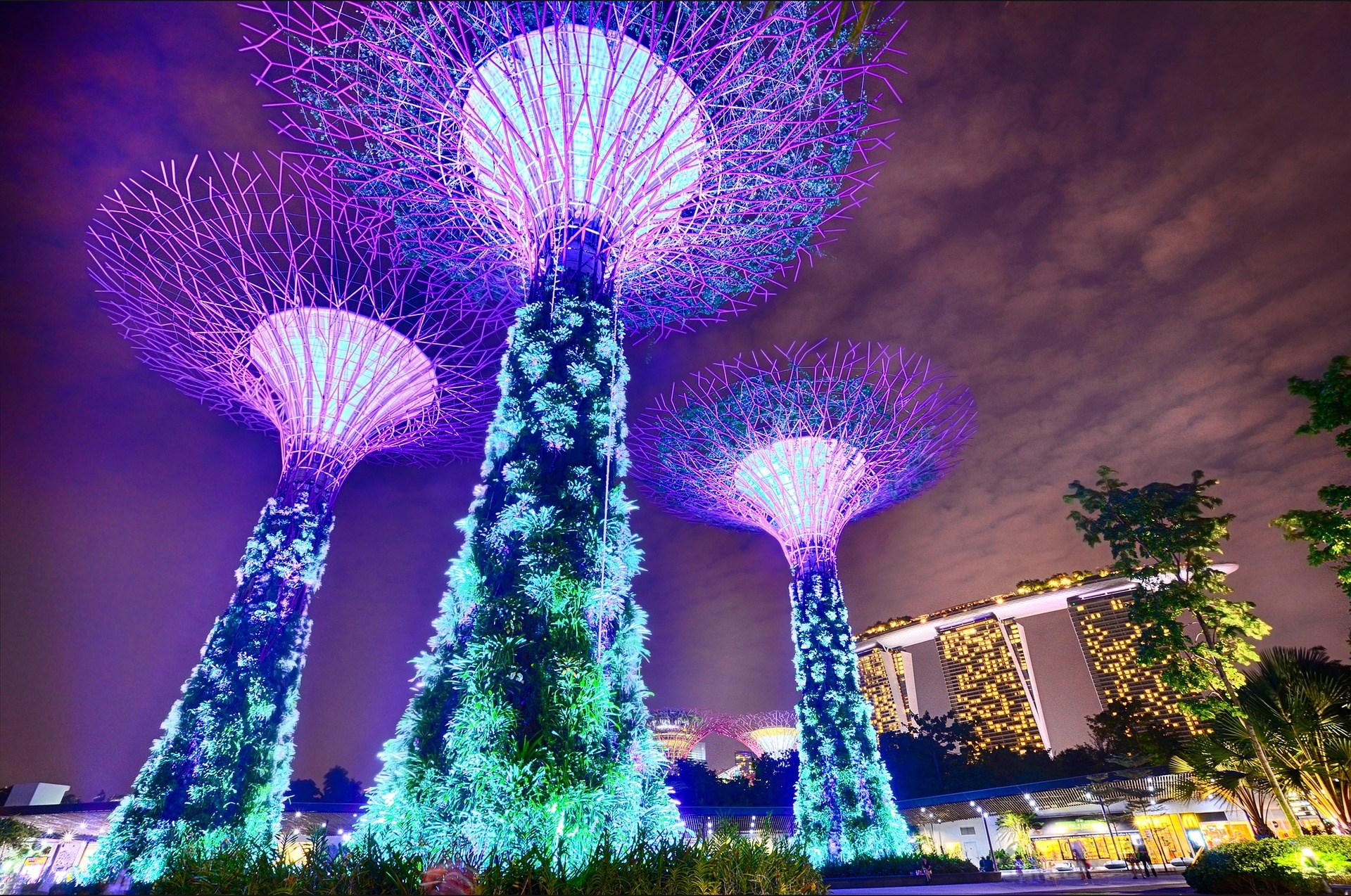 COMBO: Vé Madame Tussauds™ + Vé Gardens by the Bay