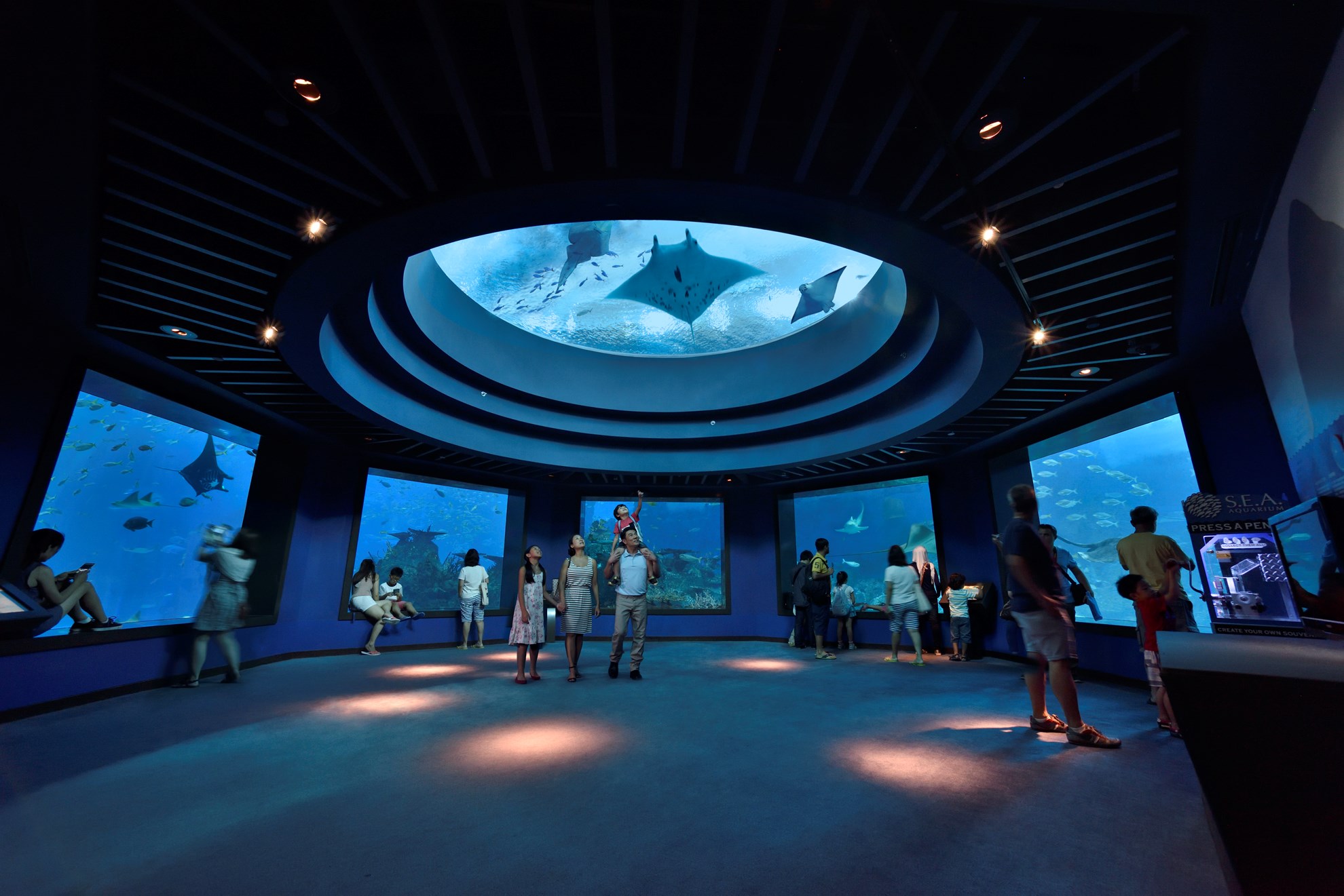 COMBO: Vé tham quan Madame Tussauds™ Singapore + S.E.A. Aquarium™
