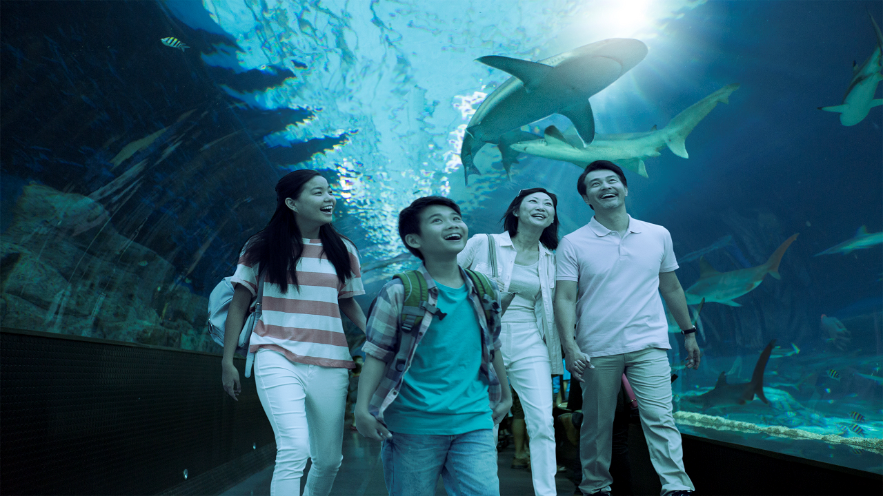 COMBO: Vé tham quan Madame Tussauds™ Singapore + S.E.A. Aquarium™