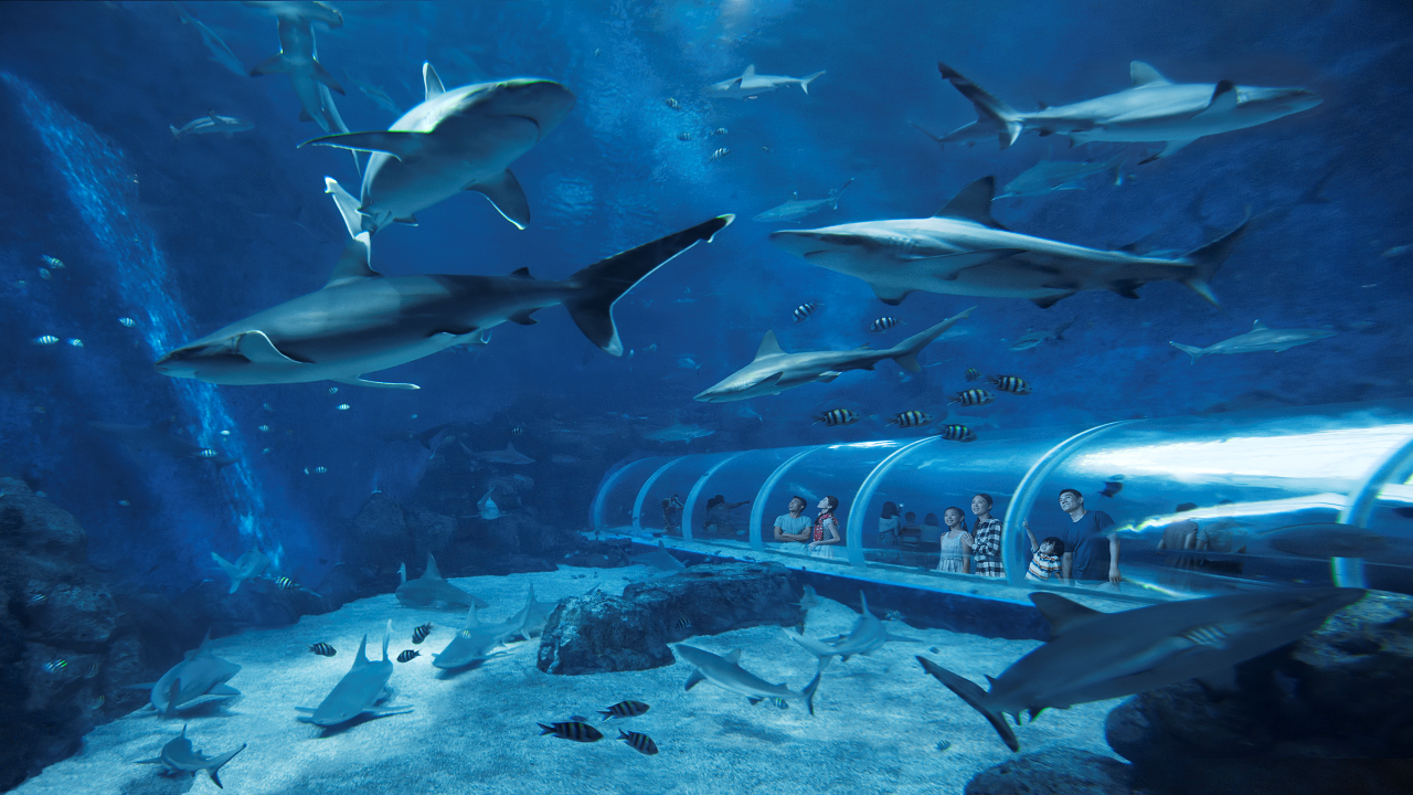 COMBO: Vé tham quan Madame Tussauds™ Singapore + S.E.A. Aquarium™