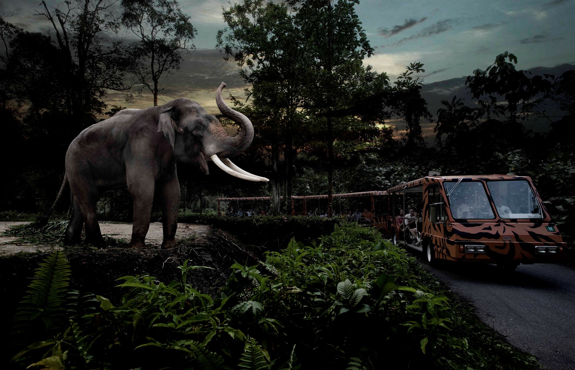 COMBO: Vé tham quan Singapore River Safari + Singapore Night Safari và dịch vụ đưa đón