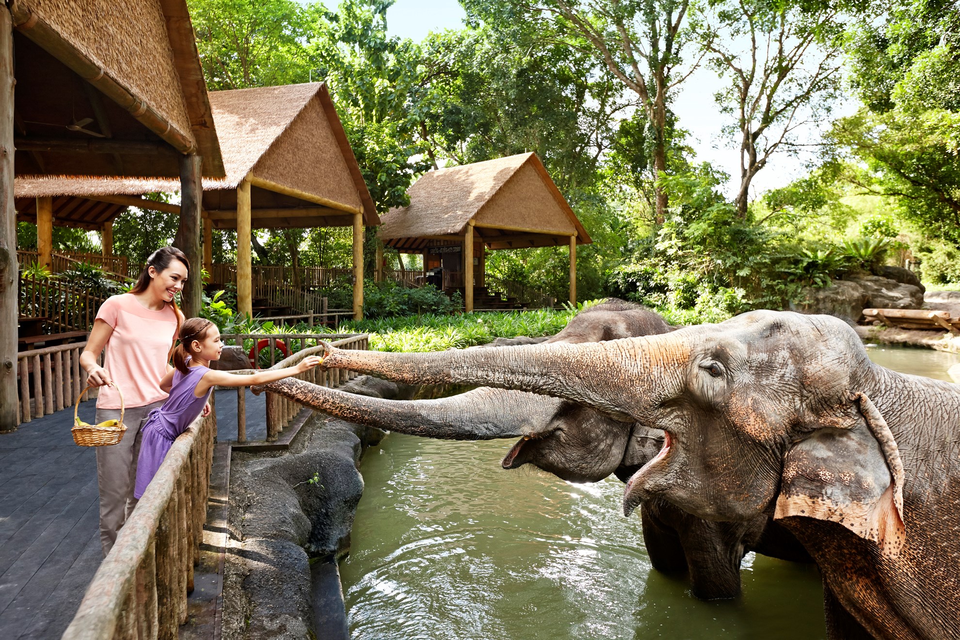 COMBO: Vé tham quan Vườn thú Singapore + River Safari kèm đưa đón