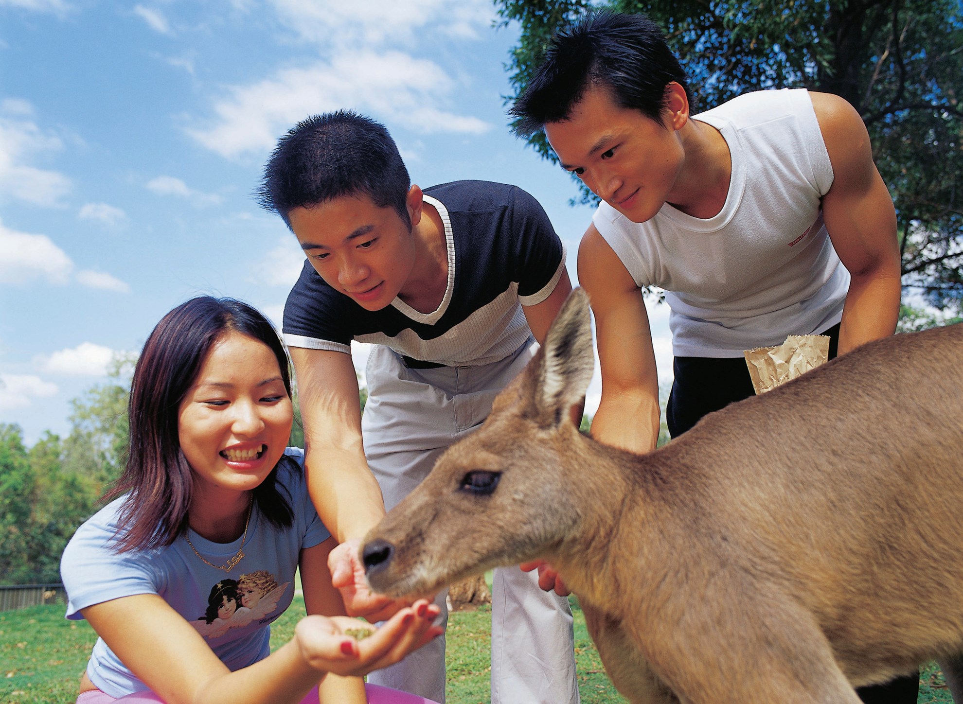 Currumbin Wildlife Sanctuary - Vé vào cửa