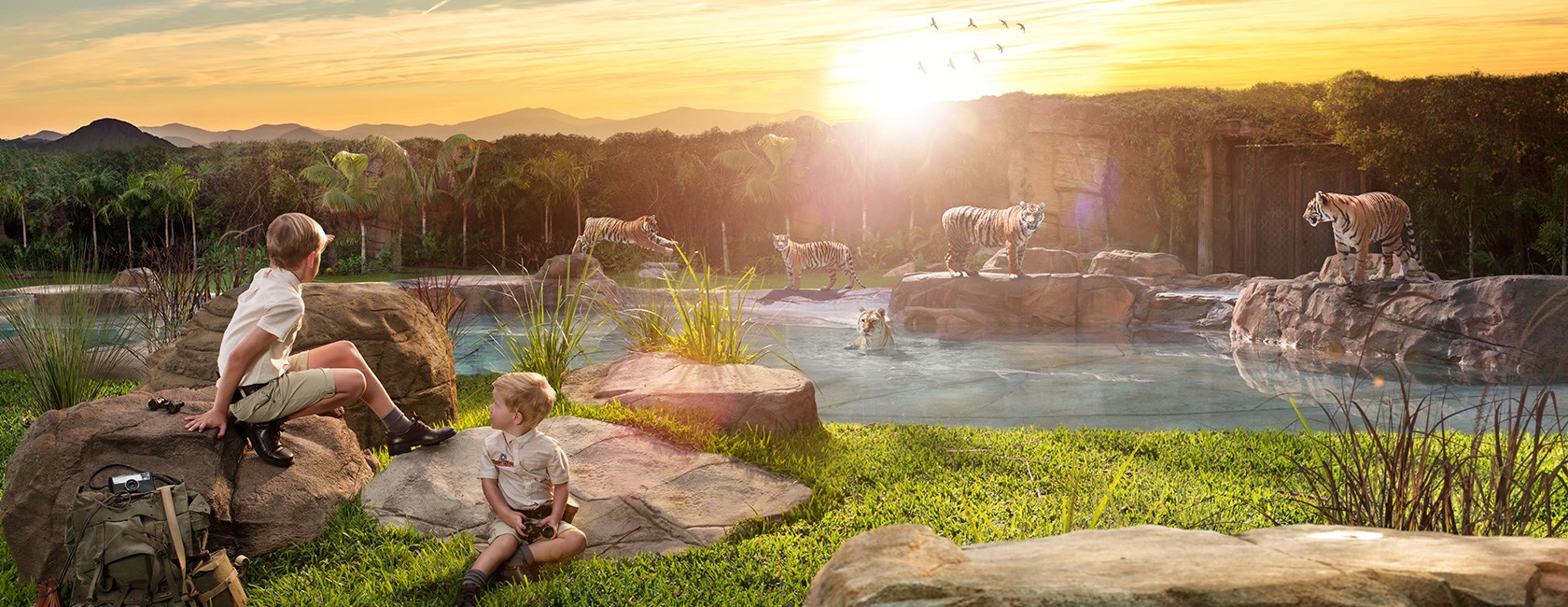 Dreamworld