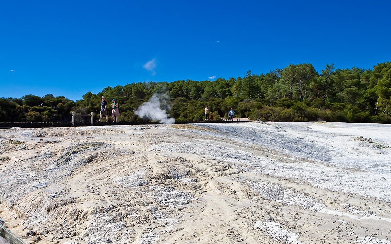 Half-day Geothermal Wonderland Tour