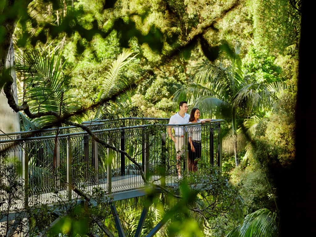 Lamington National Park and O'Reilly Tour from Brisbane