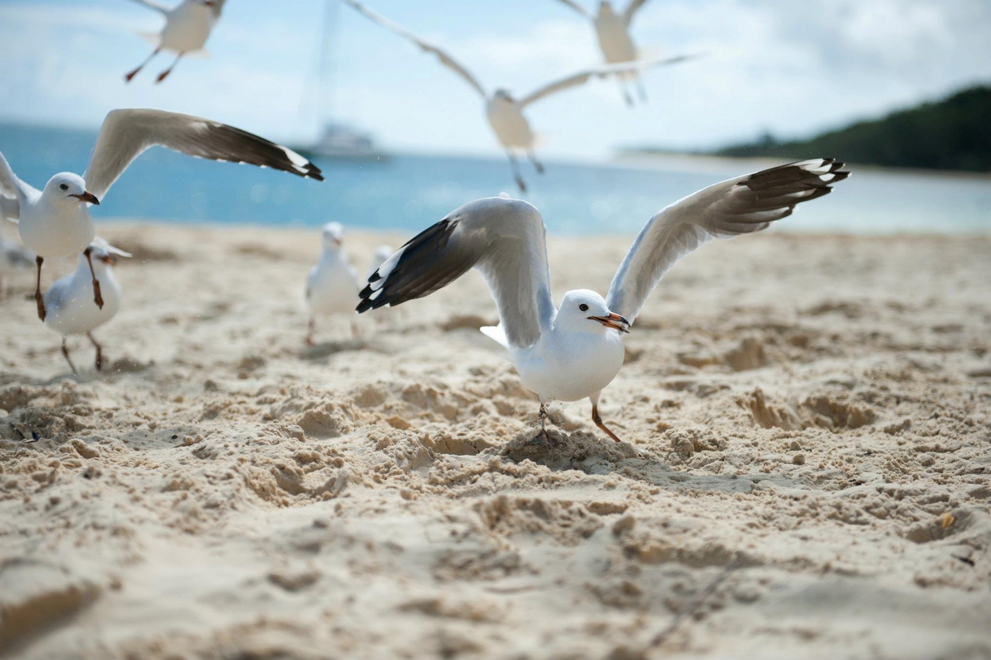 Moreton Island 4WD Adventure from Brisbane