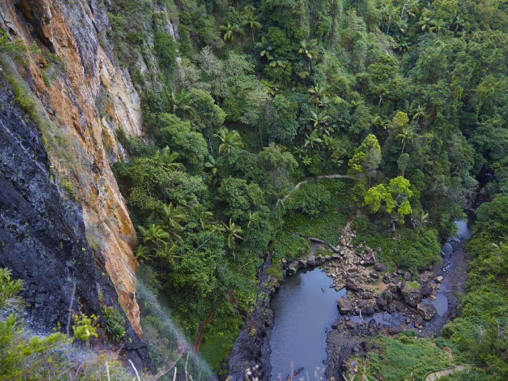O'Reilly's Green Mountains Tour from the Gold Coast