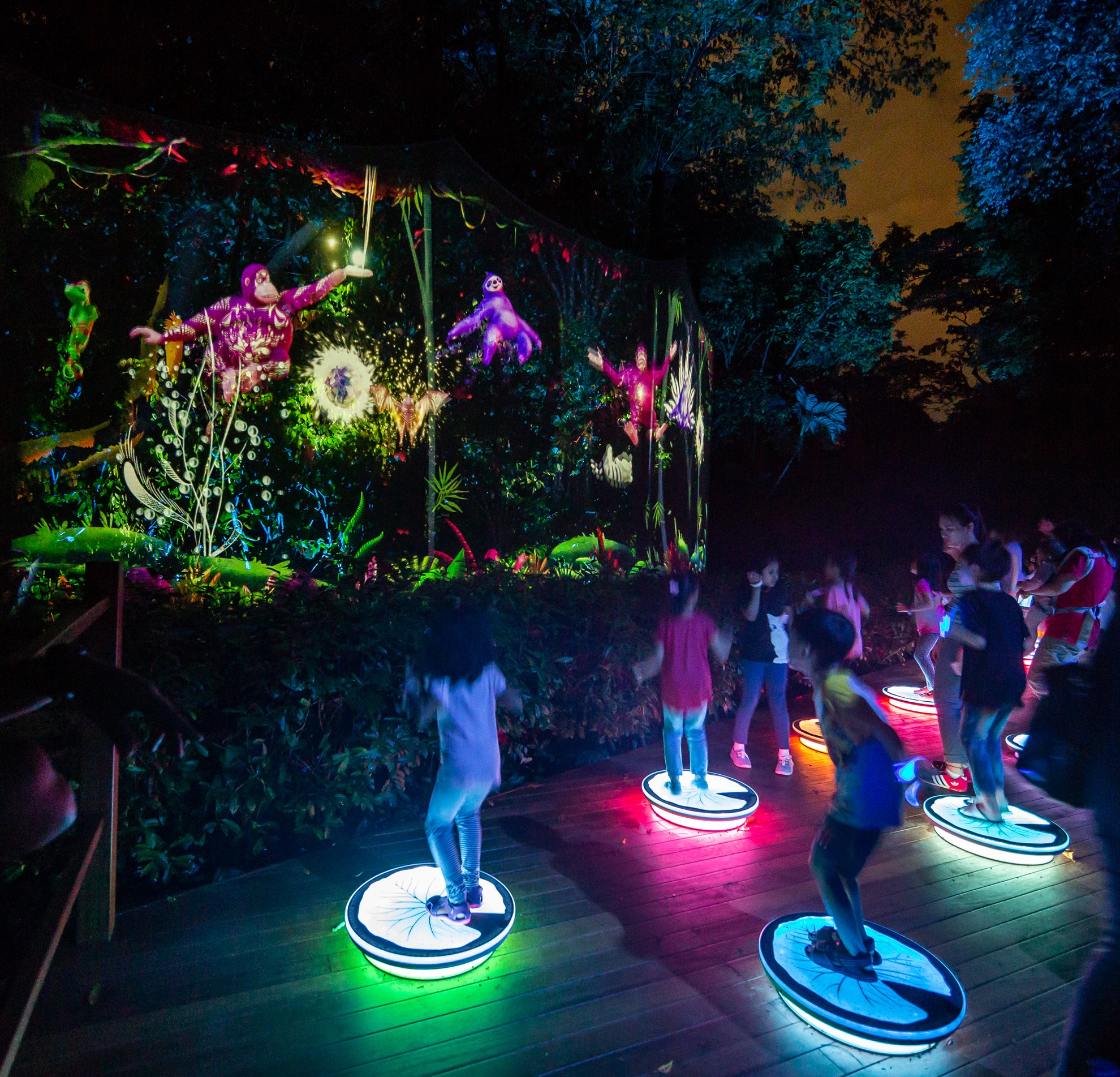 Rainforest Lumina tại Vườn thú Singapore