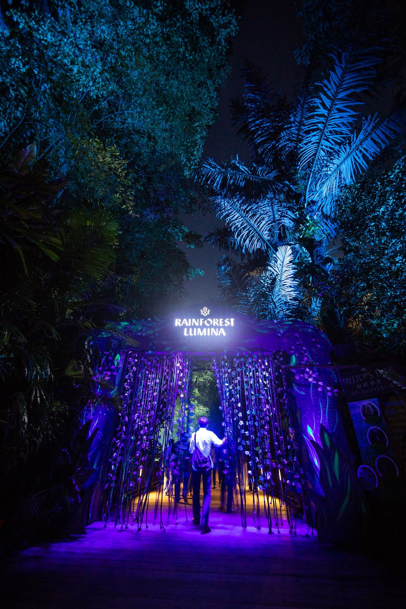 Rainforest Lumina tại Vườn thú Singapore