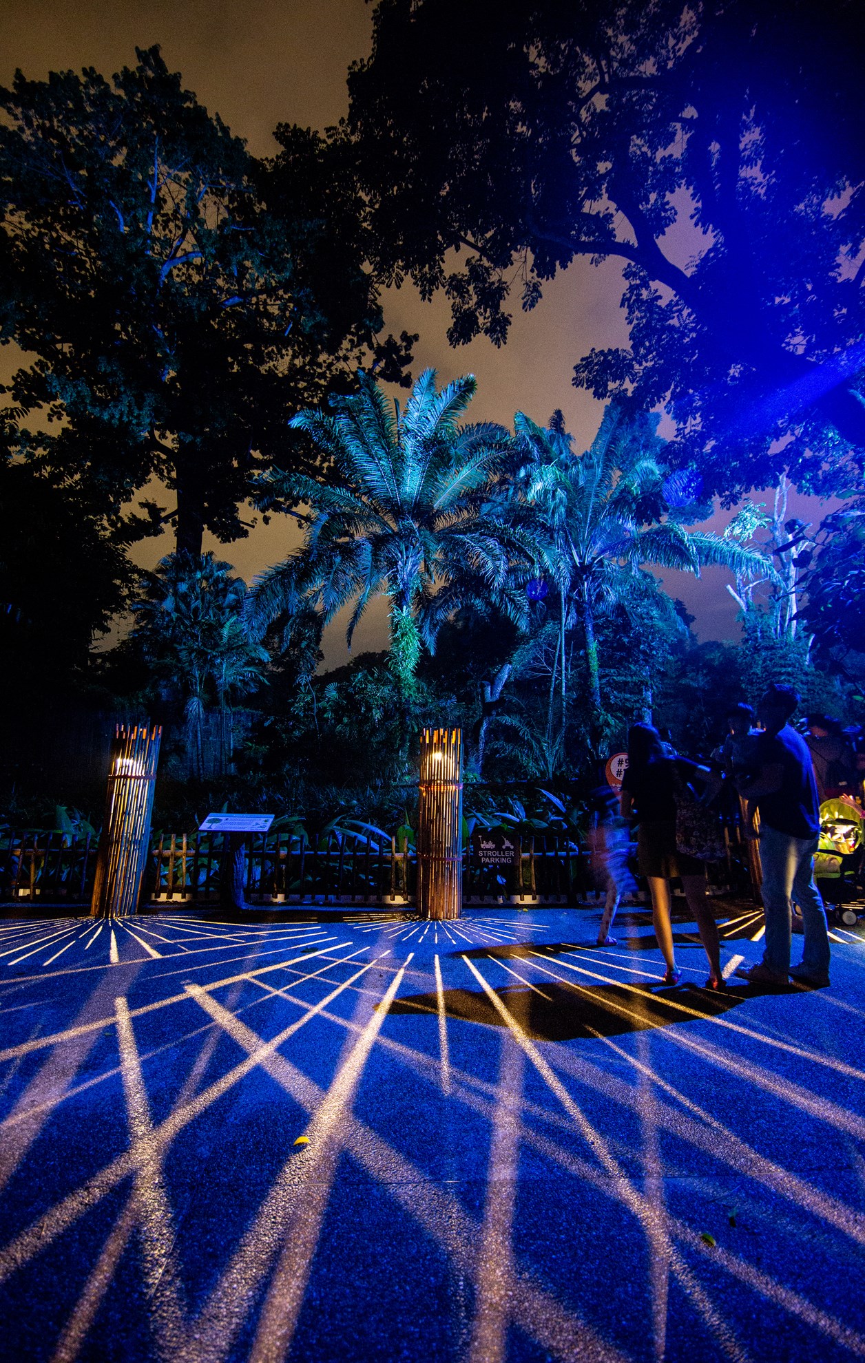 Rainforest Lumina tại Vườn thú Singapore
