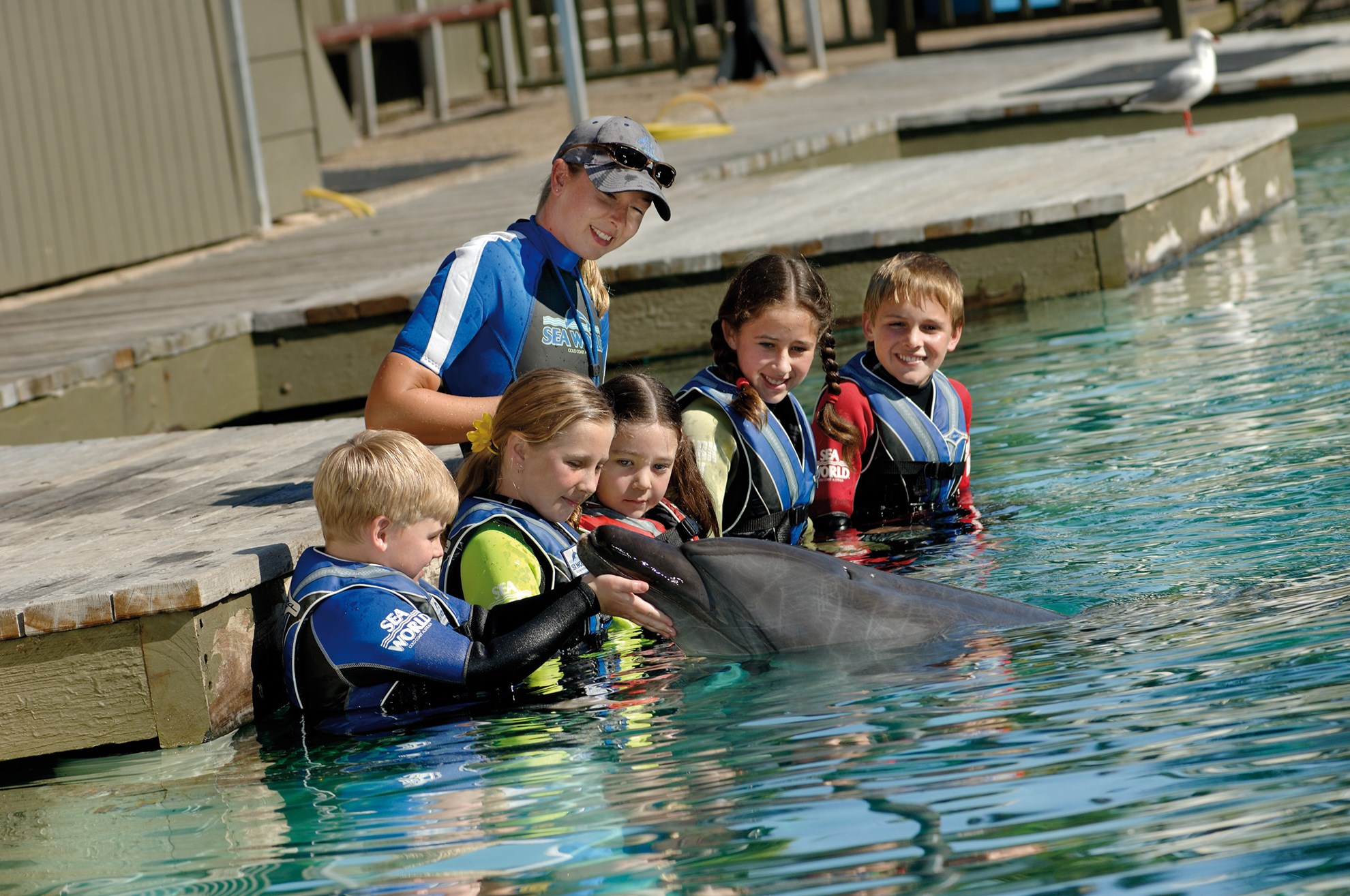 Sea World