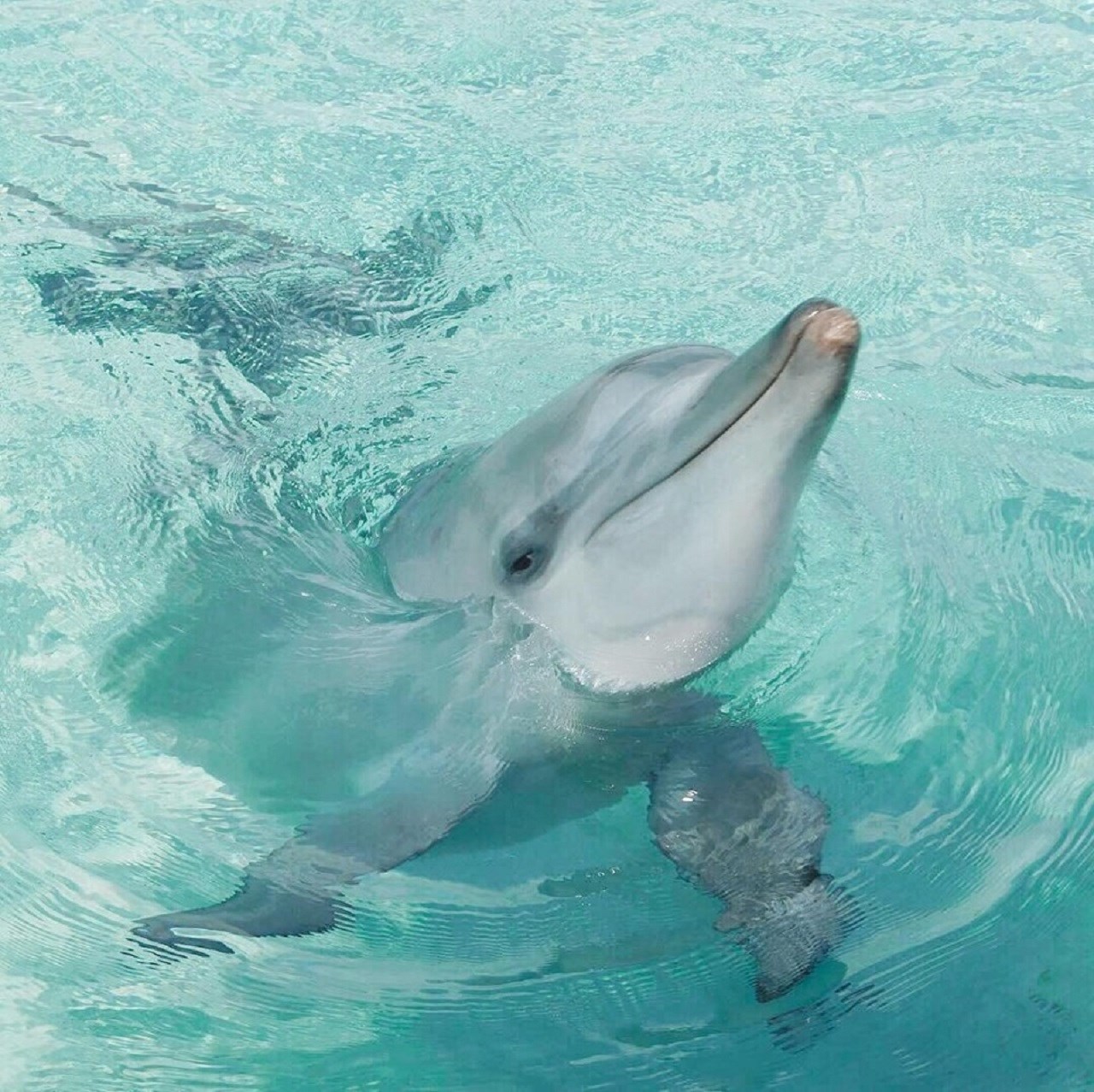 Sea World
