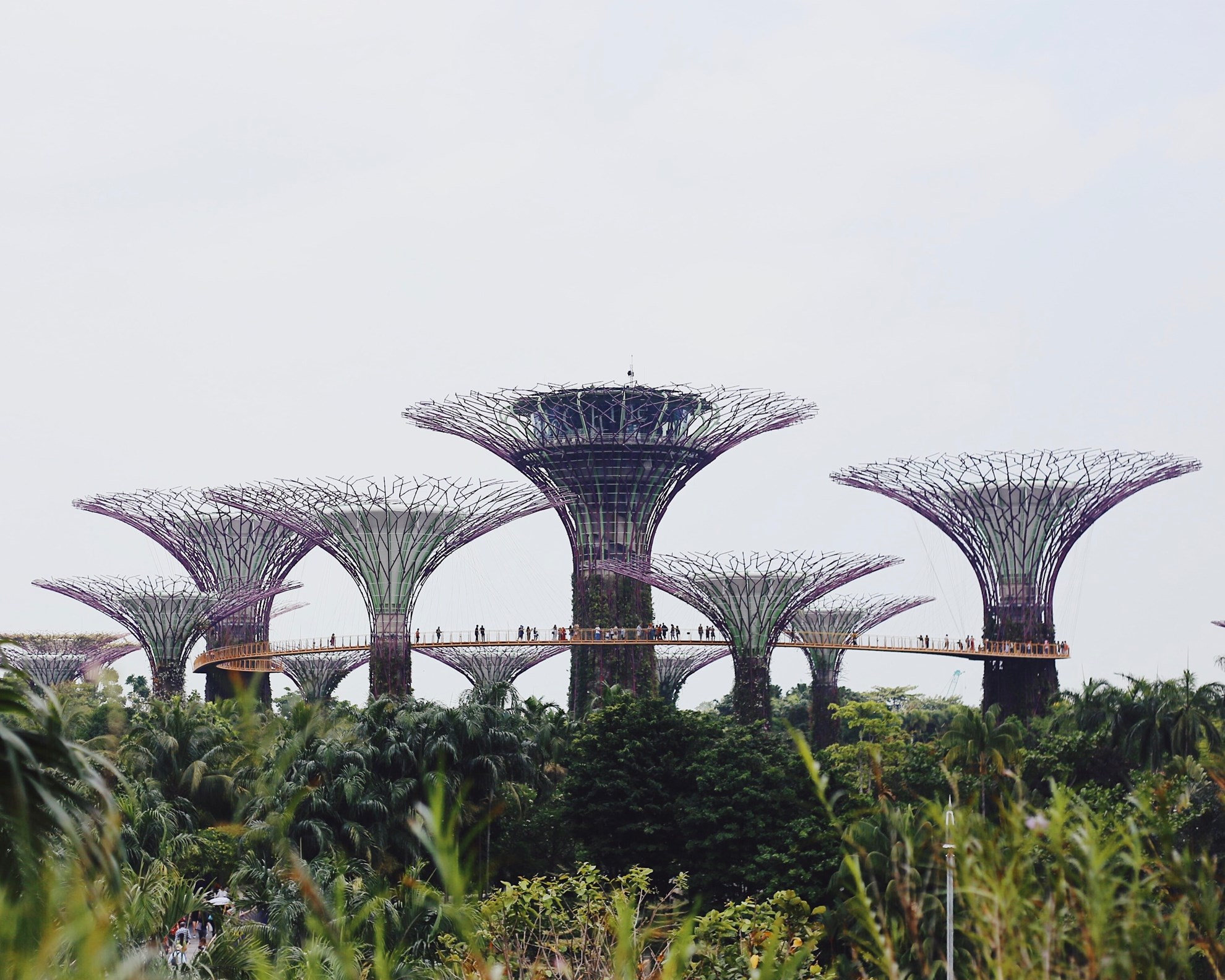 Singapore Crazy Rich Asians Sidecar Tour