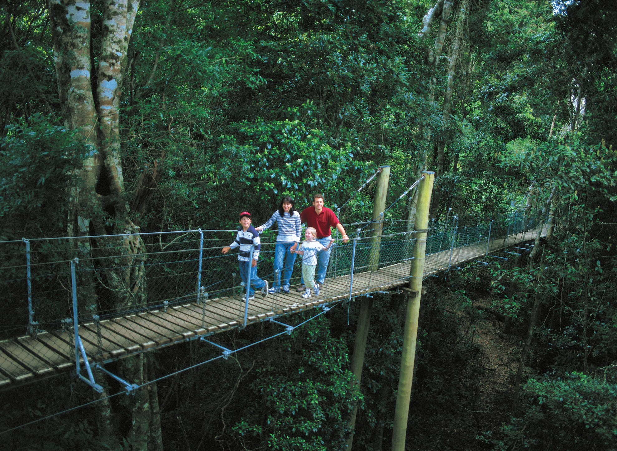 Springbrook National Park and Natural Bridge Tour