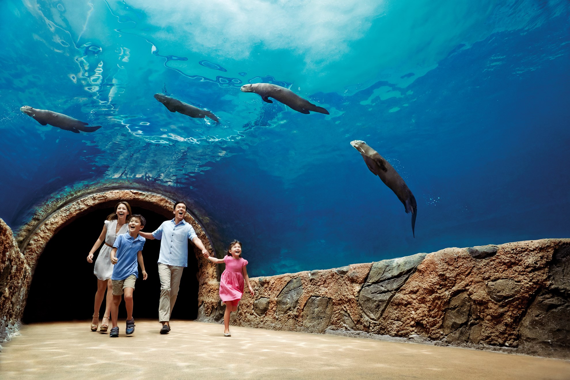 Tham quan Singapore River Safari, có đưa đón 2 chiều