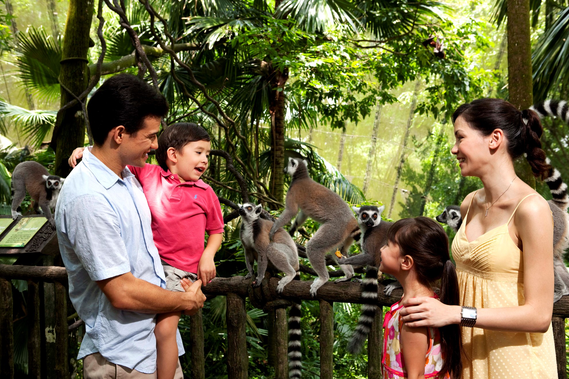 Thẻ iVenture Singapore Unlimited Attractions Pass
