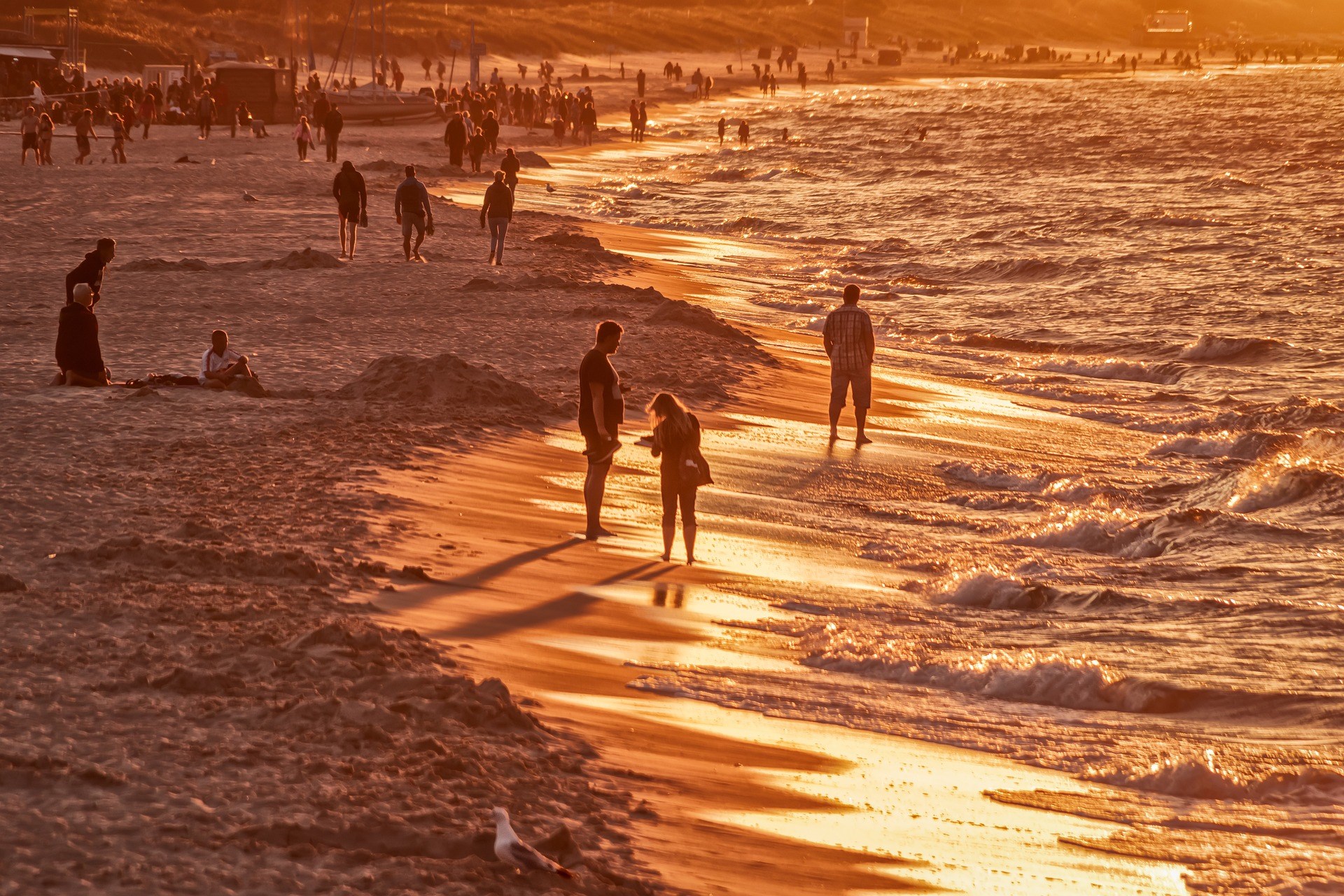 Tour đi thuyền bắt cua ở Gold Coast