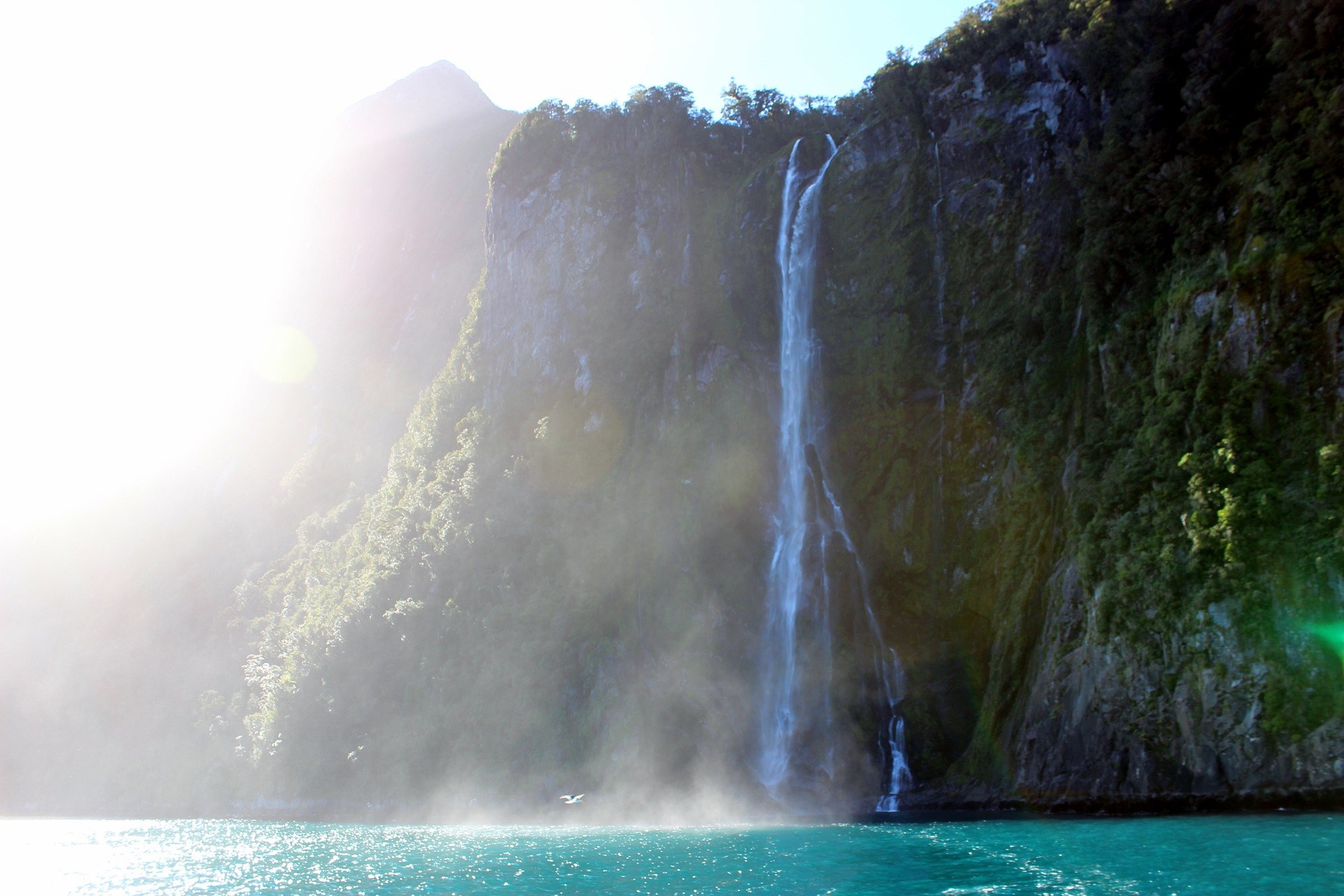 Tour đi thuyền ở Milford Sound, khởi hành từ Queenstown