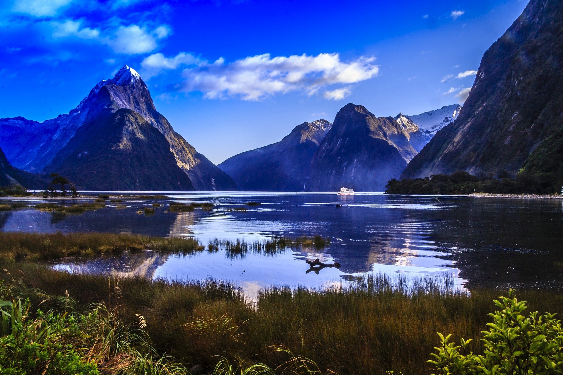 Tour đi thuyền ở Milford Sound, khởi hành từ Queenstown