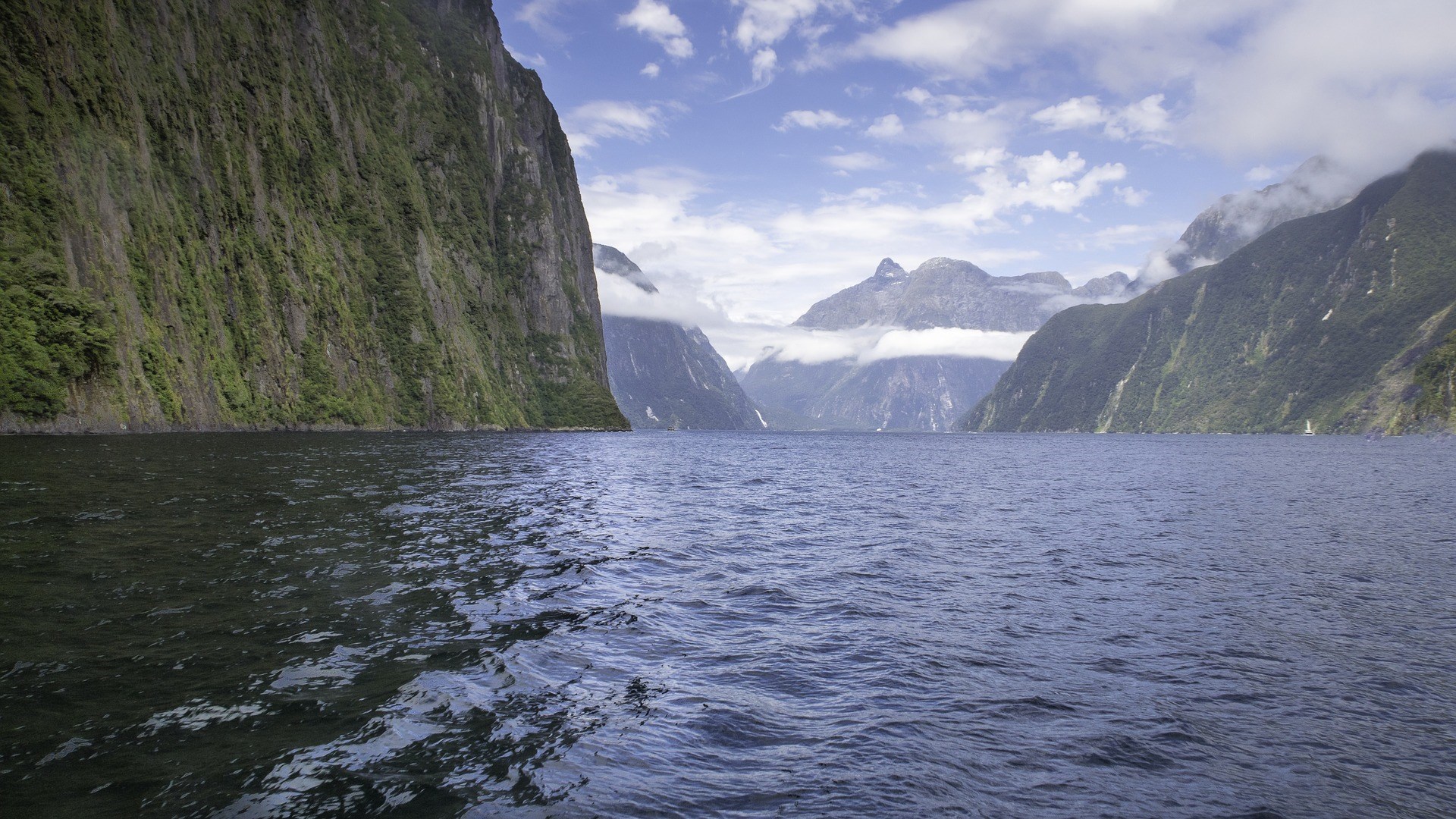 Tour đi thuyền ở Milford Sound, khởi hành từ Queenstown