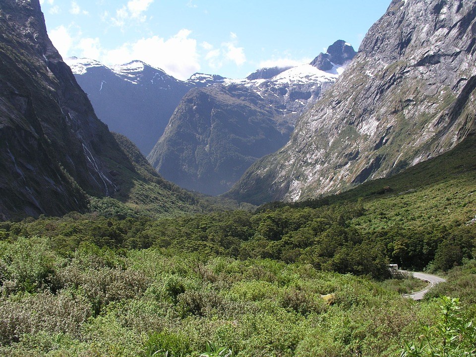 Tour đi thuyền ở Milford Sound, khởi hành từ Queenstown