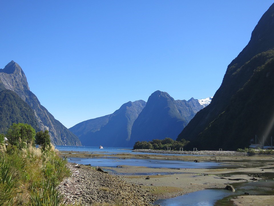 Tour đi thuyền ở Milford Sound, khởi hành từ Queenstown