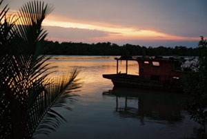 Tour Một ngày Ngắm Đom đóm ở ở Kuala Selangor có Đưa đón