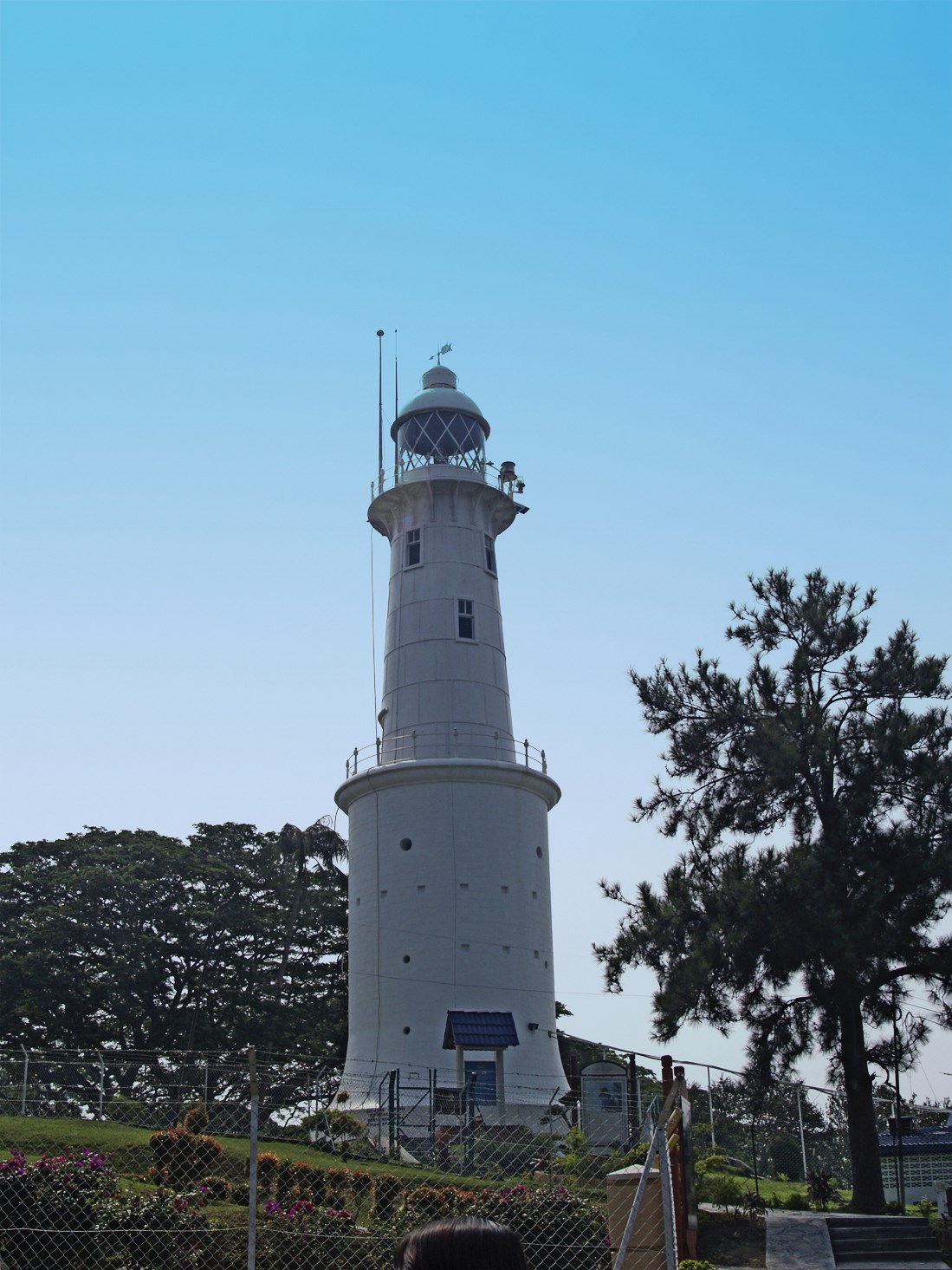 Tour Một ngày Ngắm Đom đóm ở ở Kuala Selangor có Đưa đón