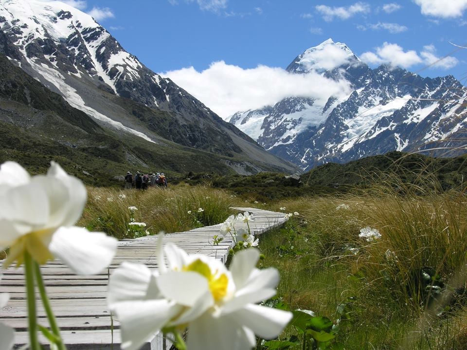 Tour ngắm cảnh từ Mount Cook đến Christchurch bằng xe Bus