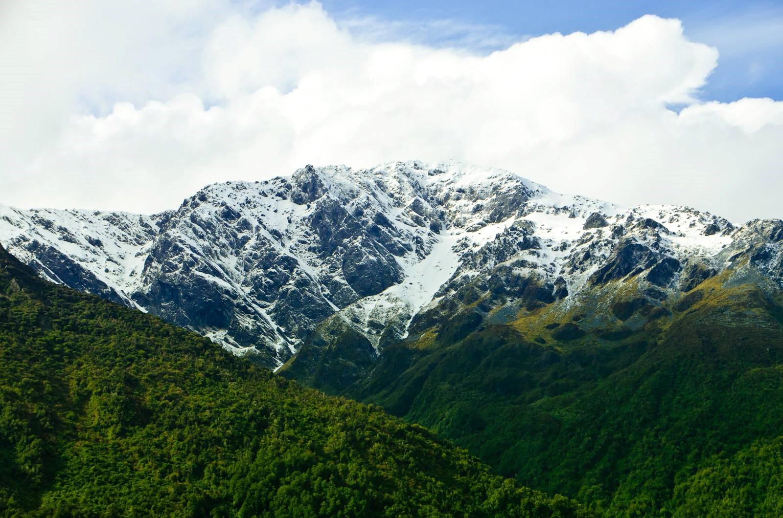 Tour ngắm cảnh từ Mount Cook đến Christchurch bằng xe Bus
