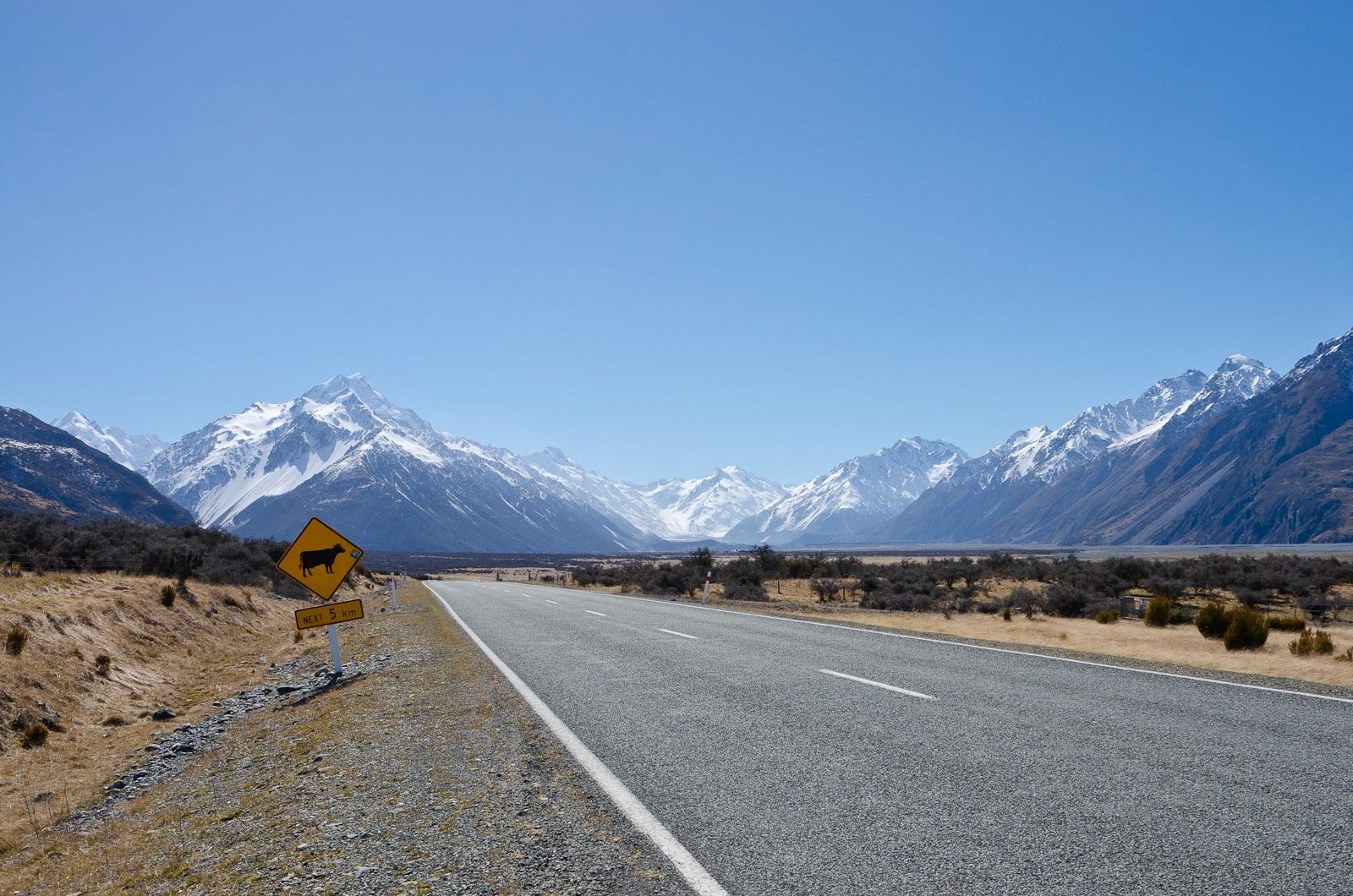 Tour ngắm cảnh từ Mount Cook đến Christchurch bằng xe Bus