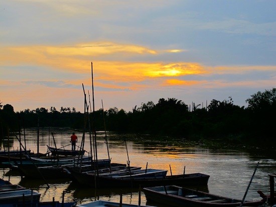 Tour Ngắm Đom đóm có Hướng dẫn viên ở Kuala Selangor
