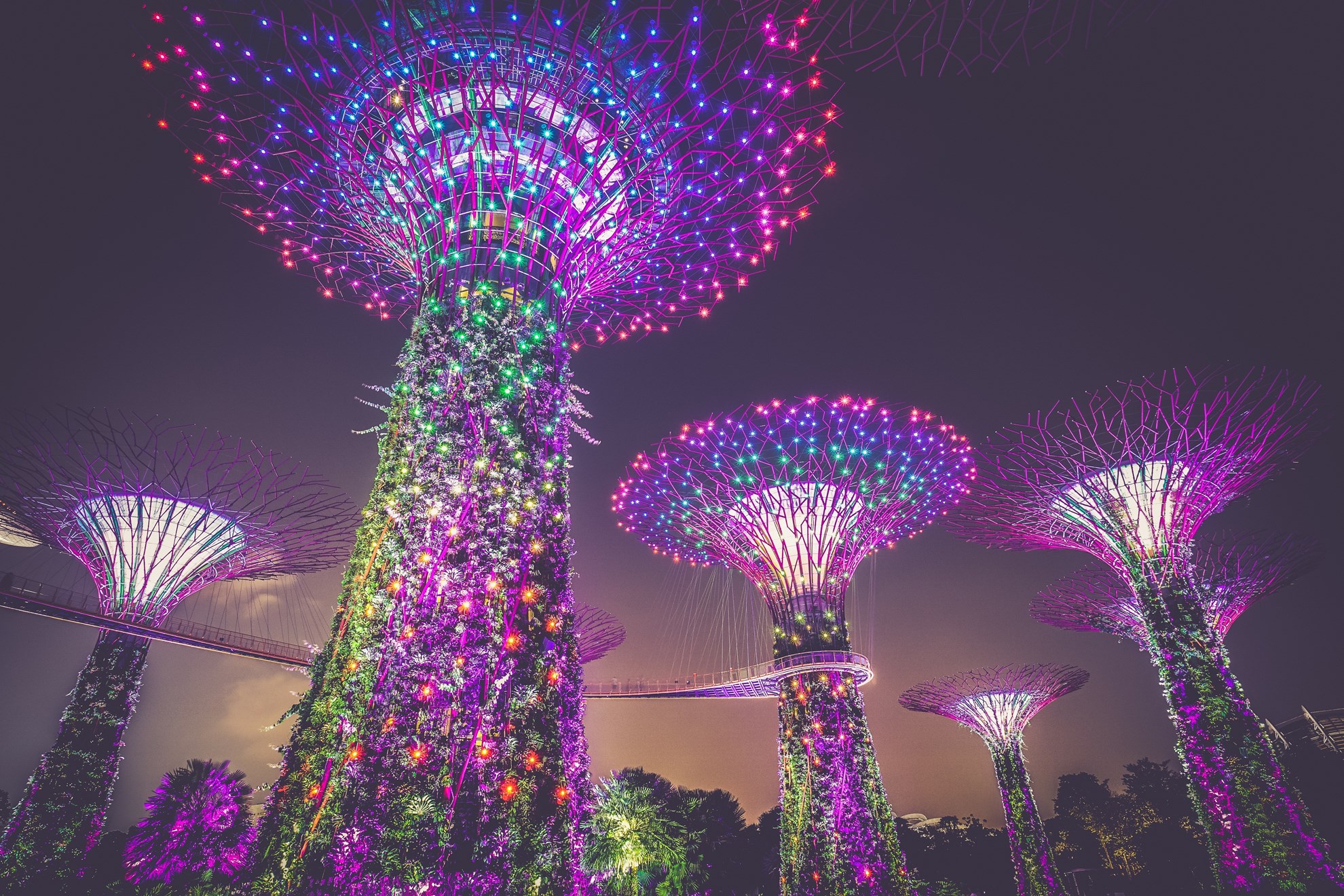 Tour riêng tham quan Singgapore cùng với nhiếp ảnh gia chuyên nghiệp