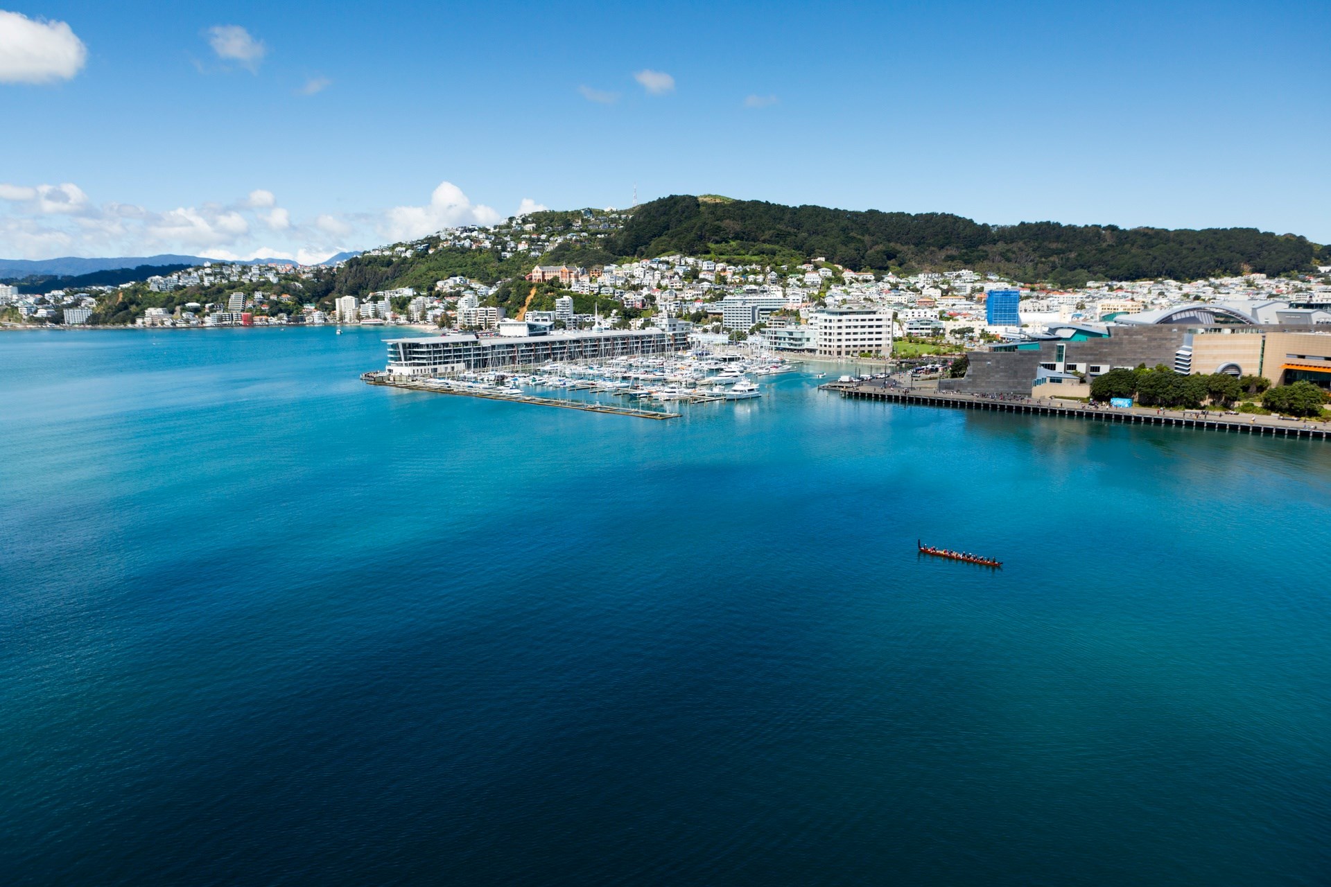 Tour tham quan các địa điểm quay phim Chúa tể của những chiếc nhẫn tại Wellington