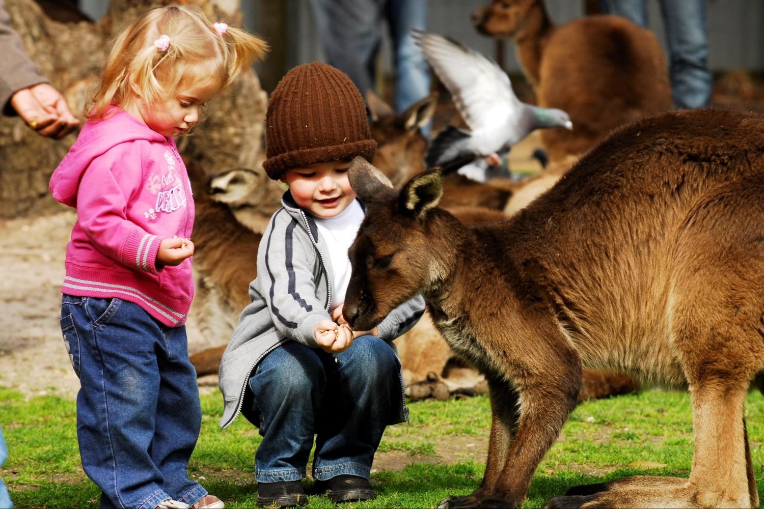 Tour tham quan đồi Sovereign, khởi hành từ Melbourne
