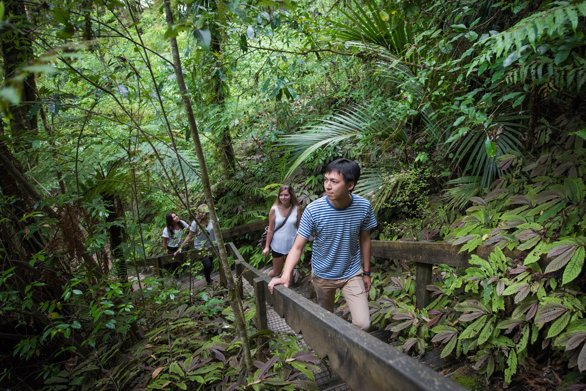 Tour tham quan hang Waitomo Glowworm, khởi hành từ Rotorua